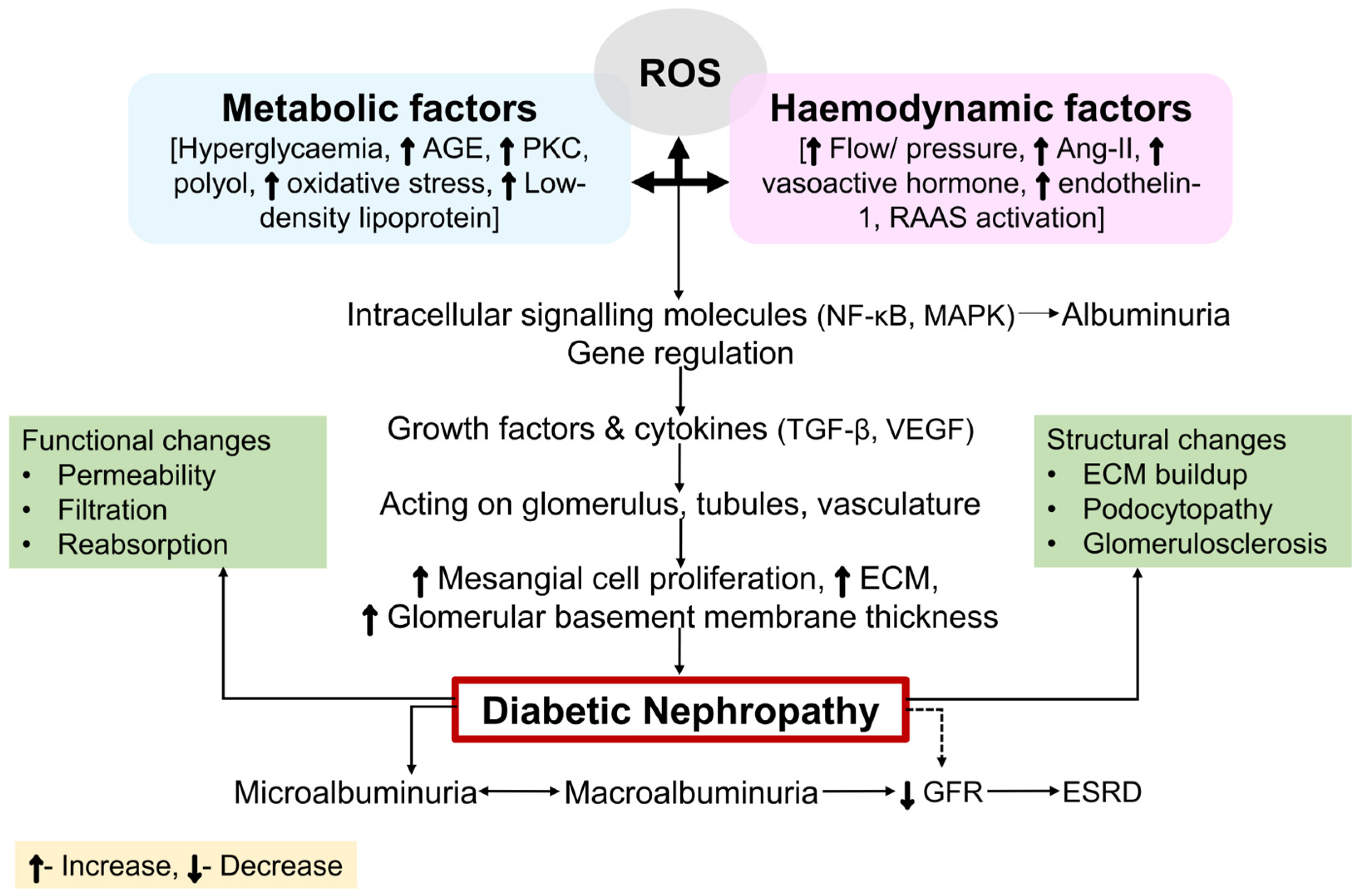Ijms 26 03330 g001 Ijms 26 03330 g001