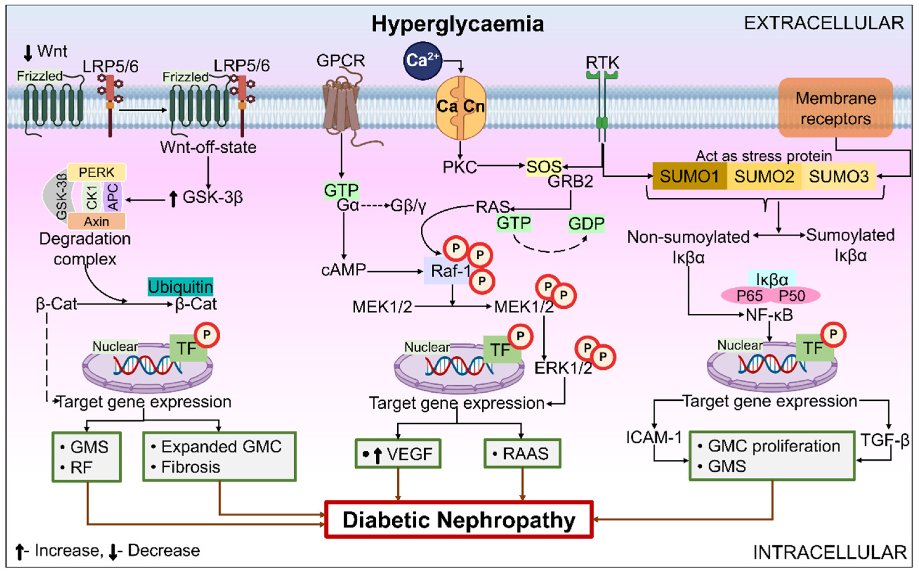 Ijms 26 03330 g004 Ijms 26 03330 g004