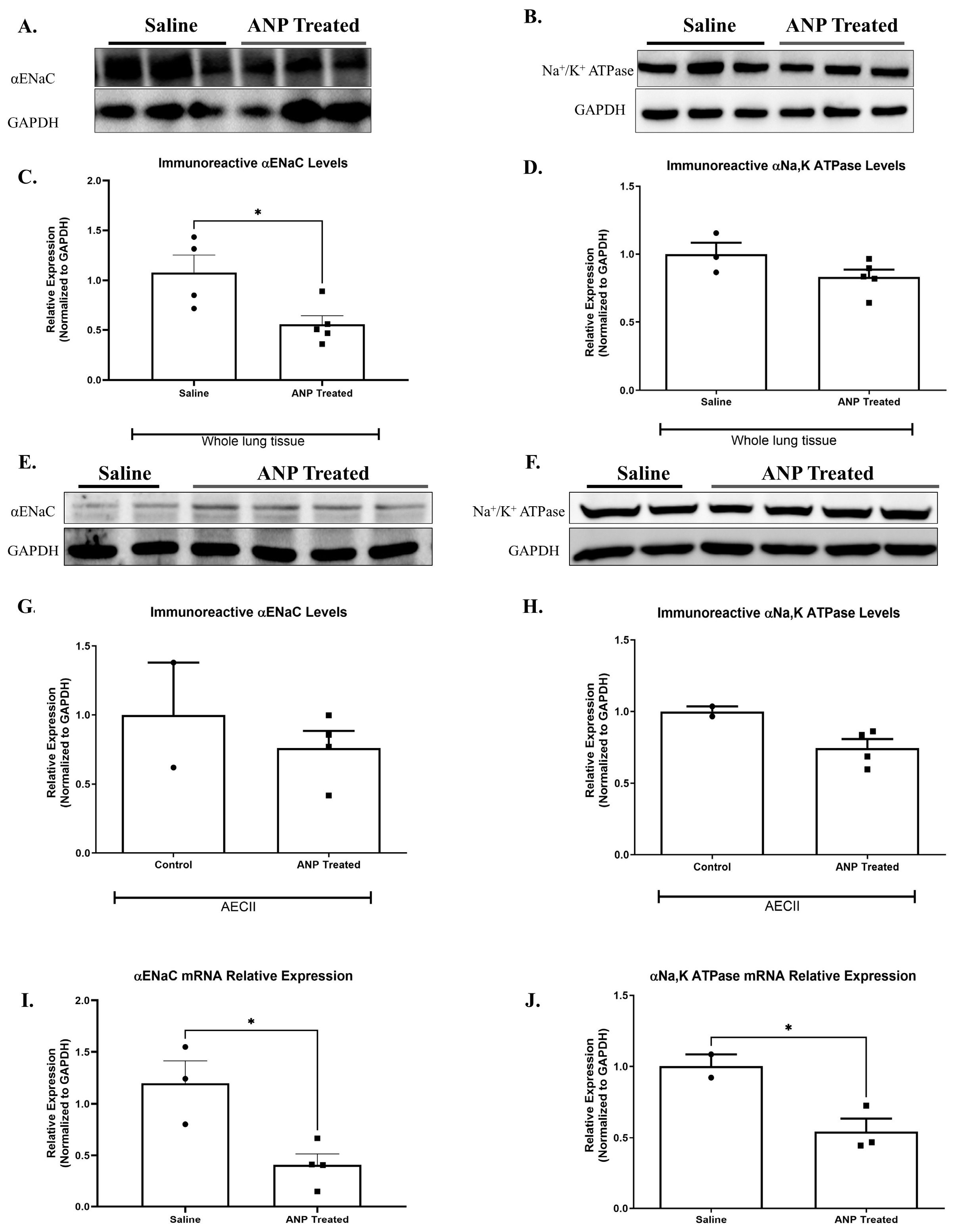 Ijms 26 03374 g002 Ijms 26 03374 g002