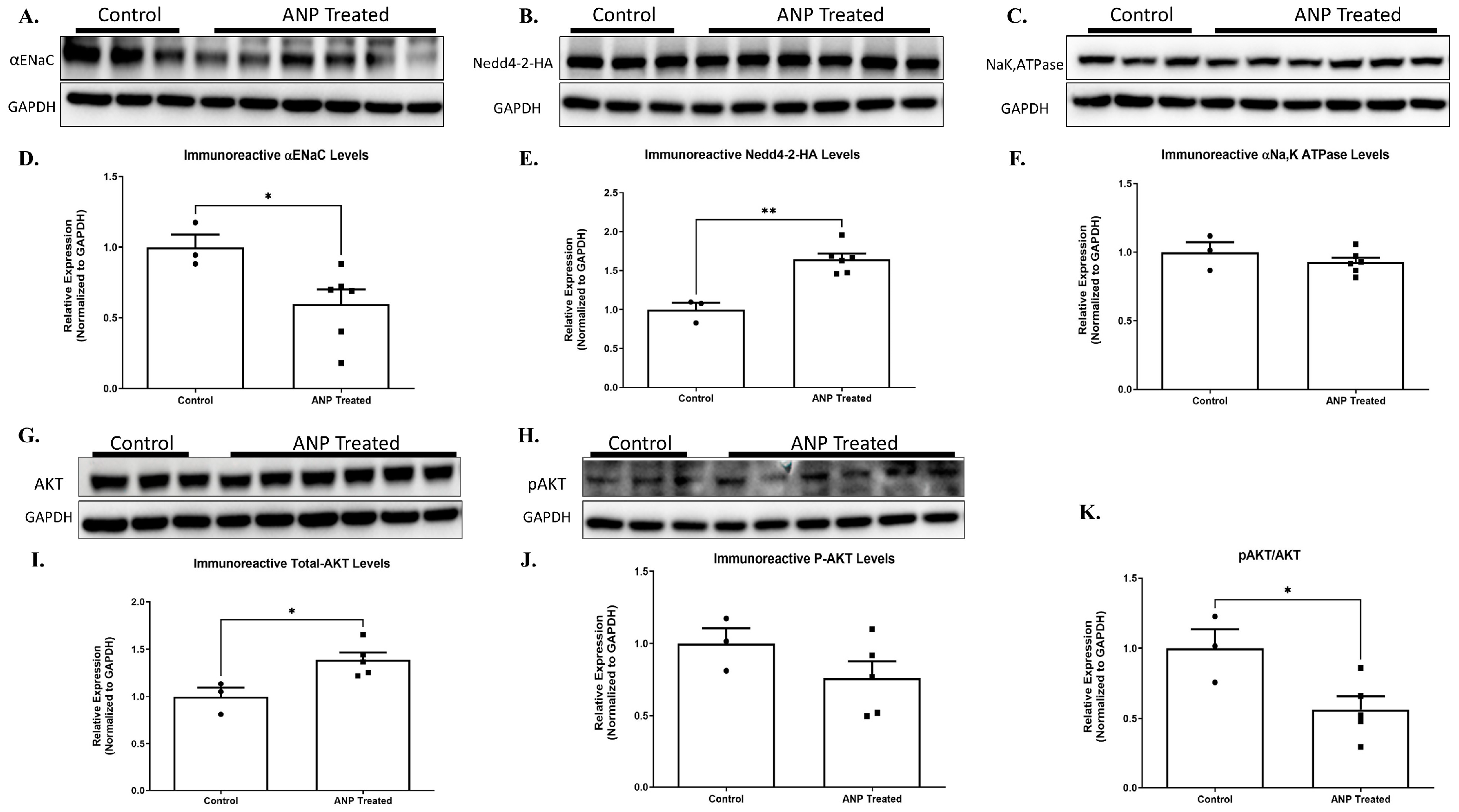 Ijms 26 03374 g008 Ijms 26 03374 g008