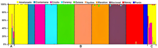 Elite Cacao Clonal Cultivars with Diverse Genetic Structure