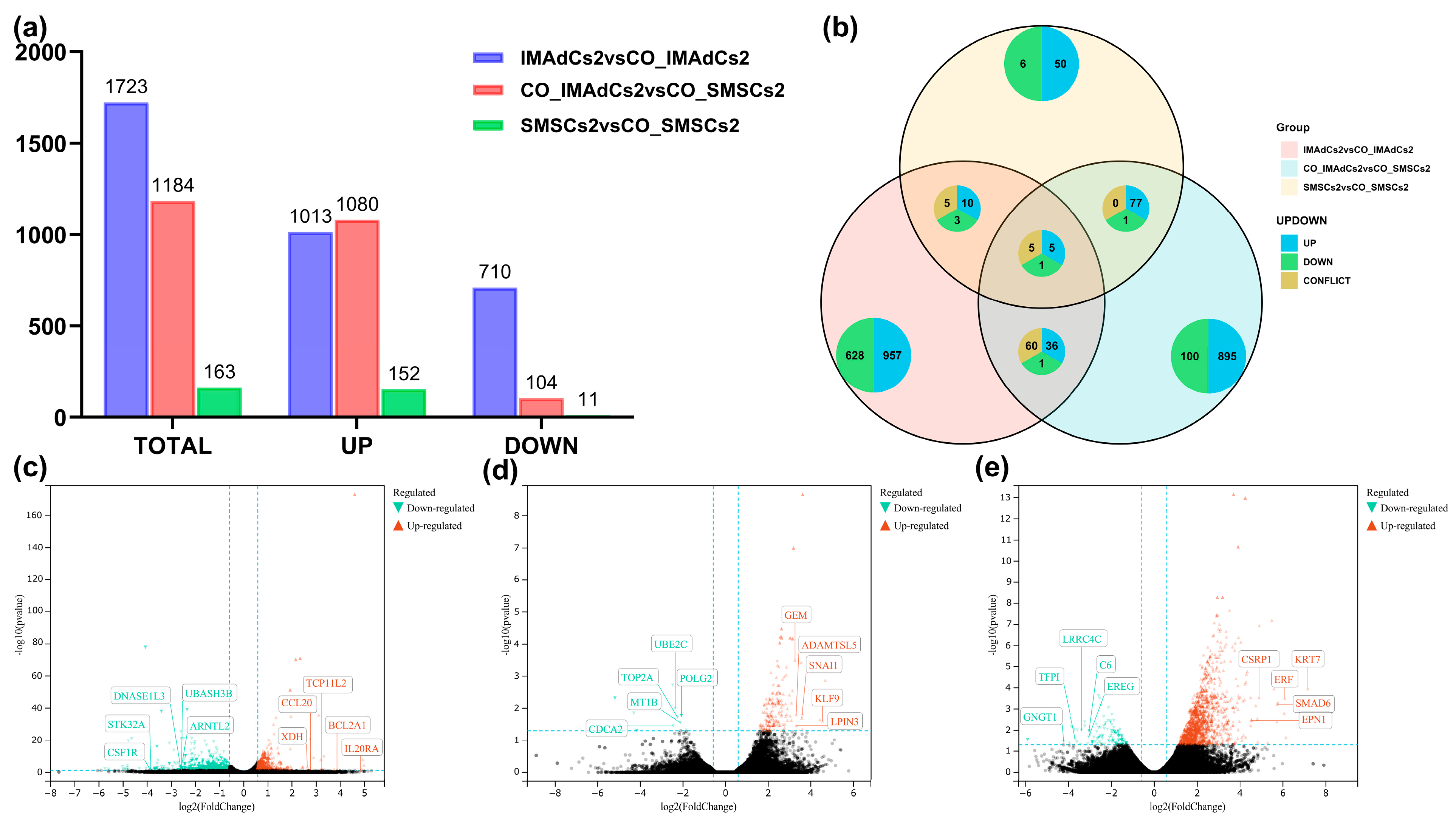 Ijms 26 03414 g003 Ijms 26 03414 g003