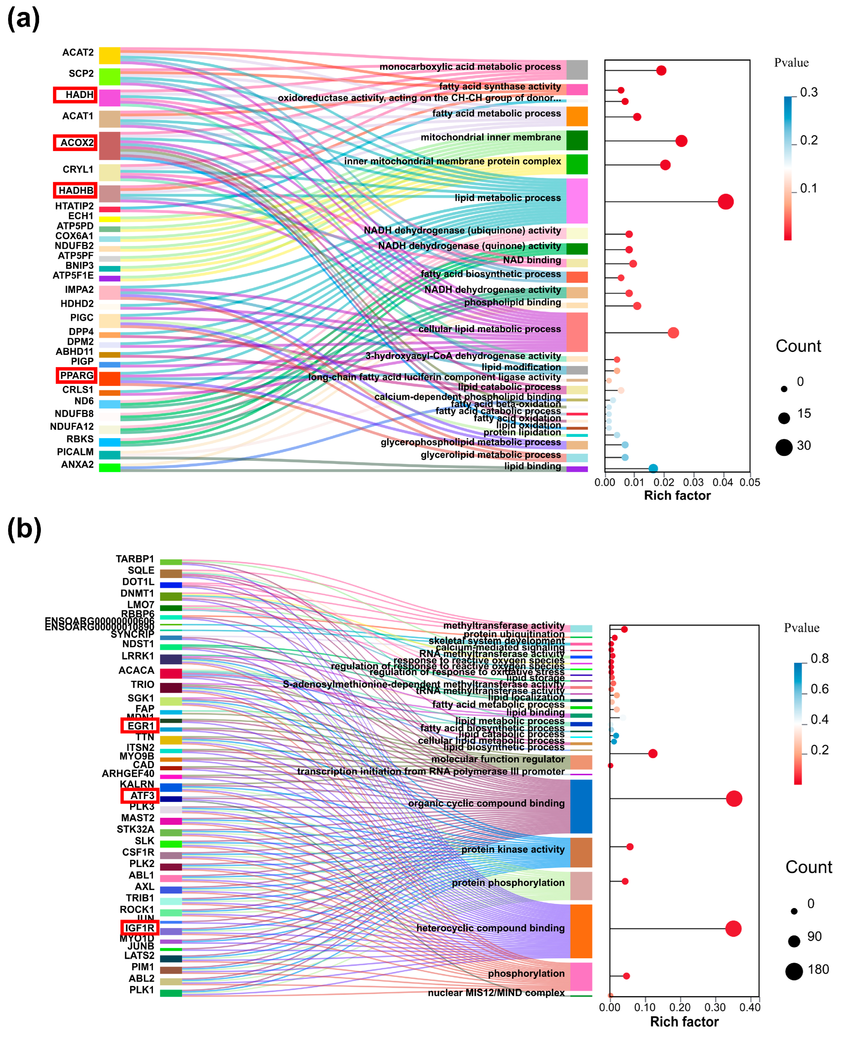 Ijms 26 03414 g004 Ijms 26 03414 g004