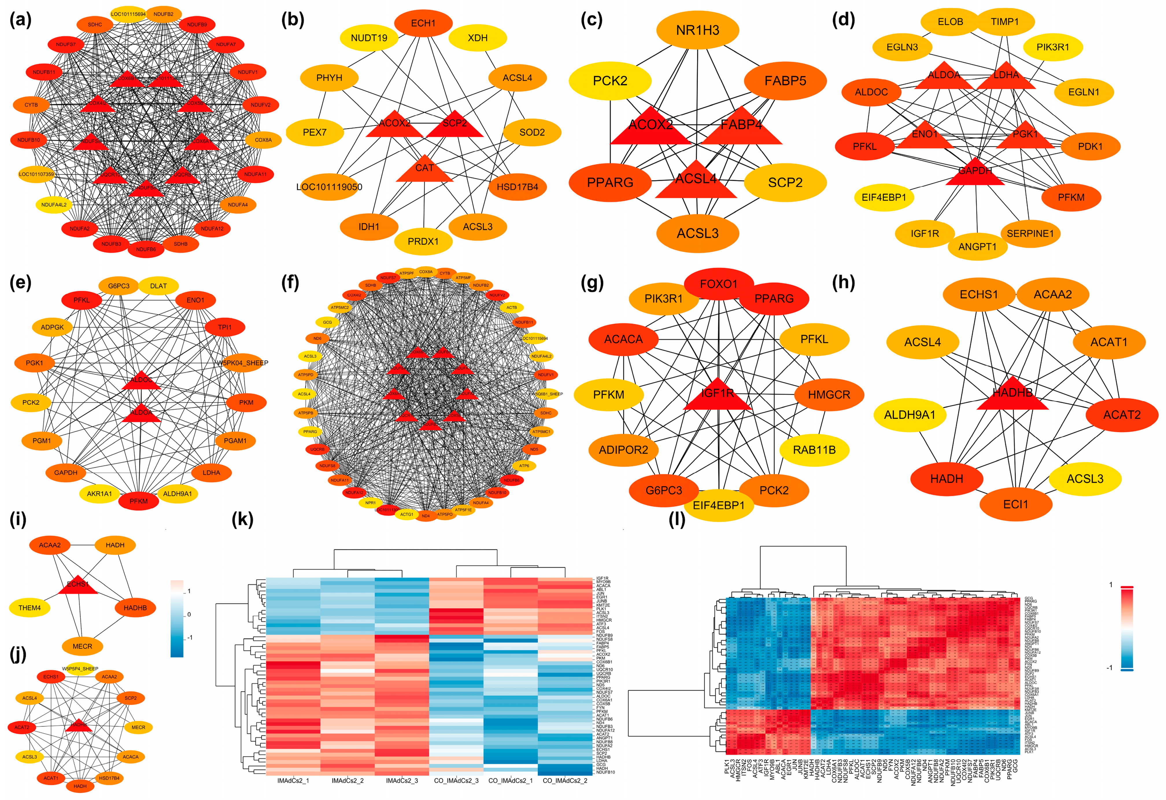 Ijms 26 03414 g006 Ijms 26 03414 g006