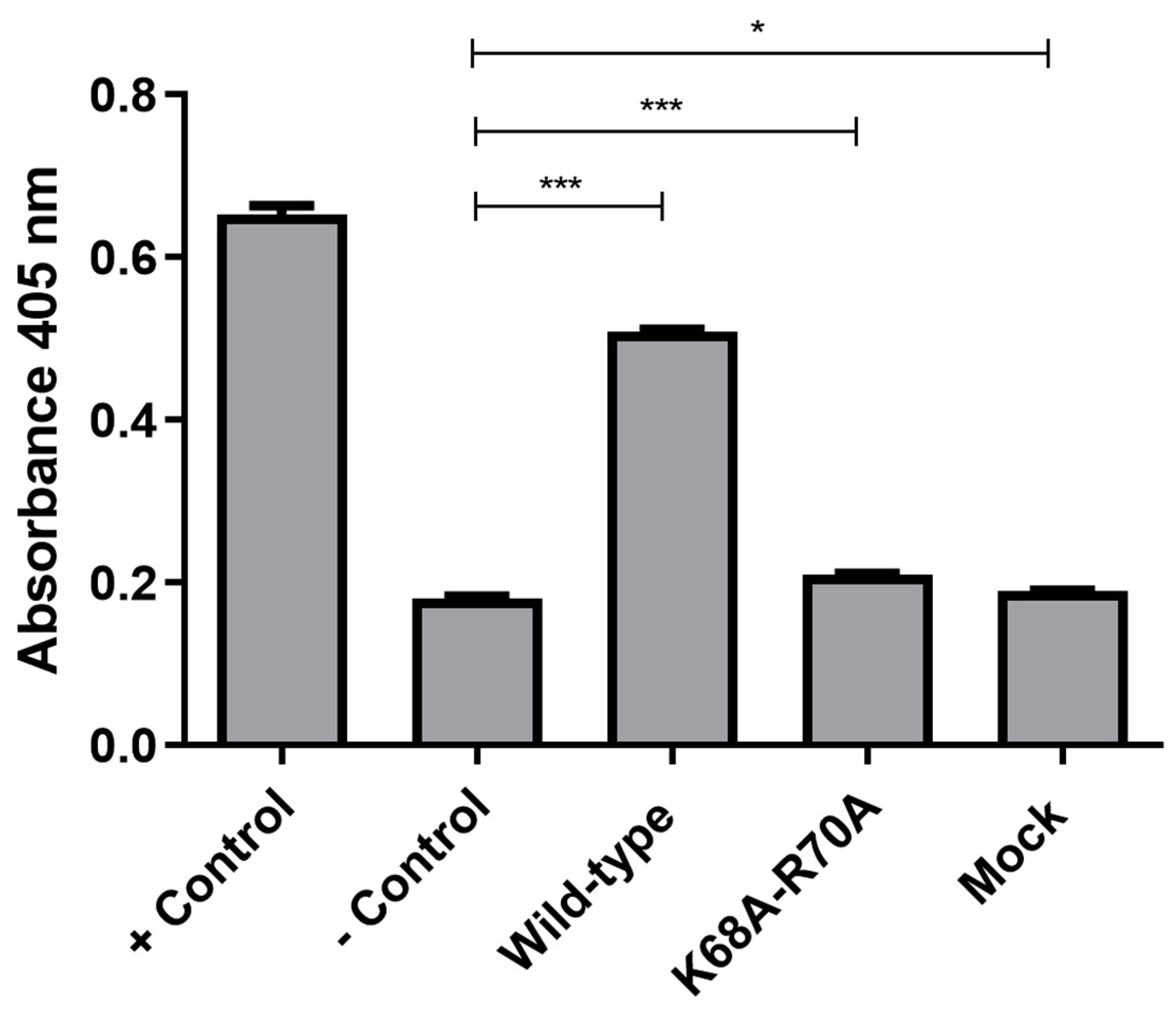 Ijms 26 03460 g005 Ijms 26 03460 g005