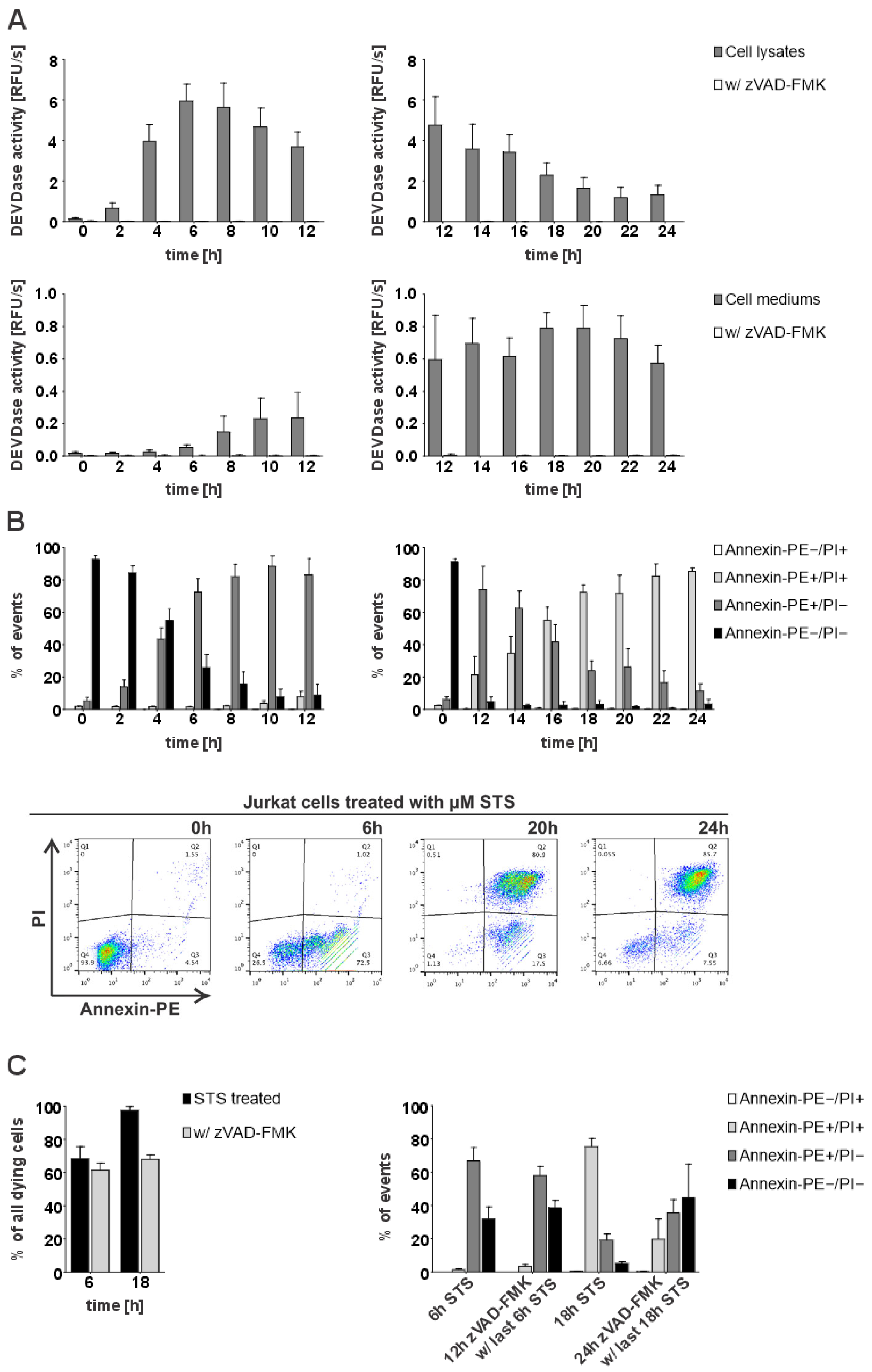 Ijms 26 03466 g001 Ijms 26 03466 g001