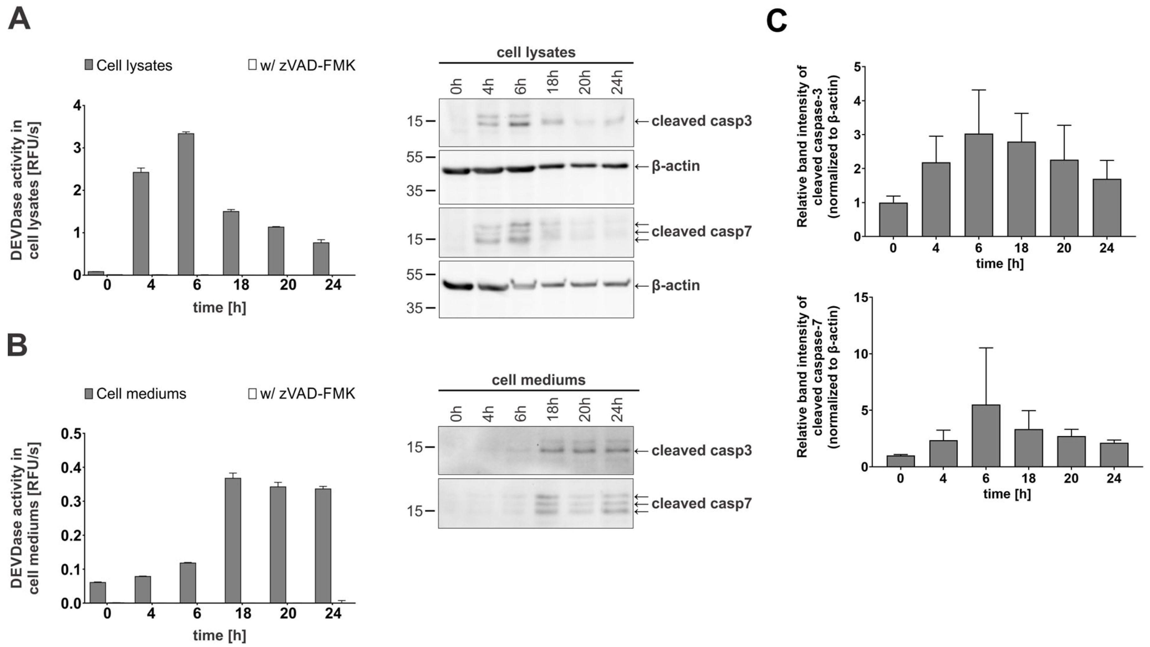 Ijms 26 03466 g002 Ijms 26 03466 g002