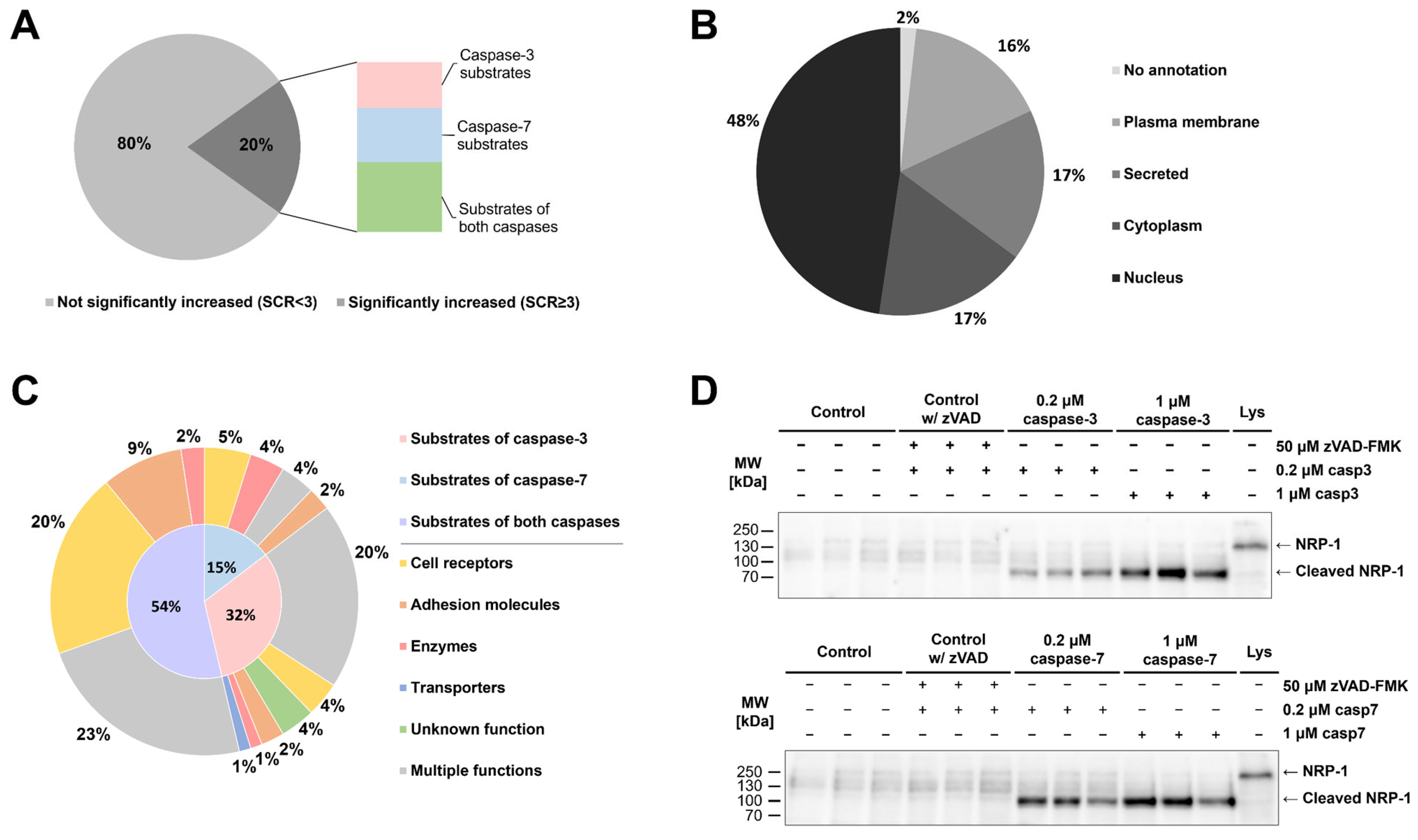 Ijms 26 03466 g004 Ijms 26 03466 g004
