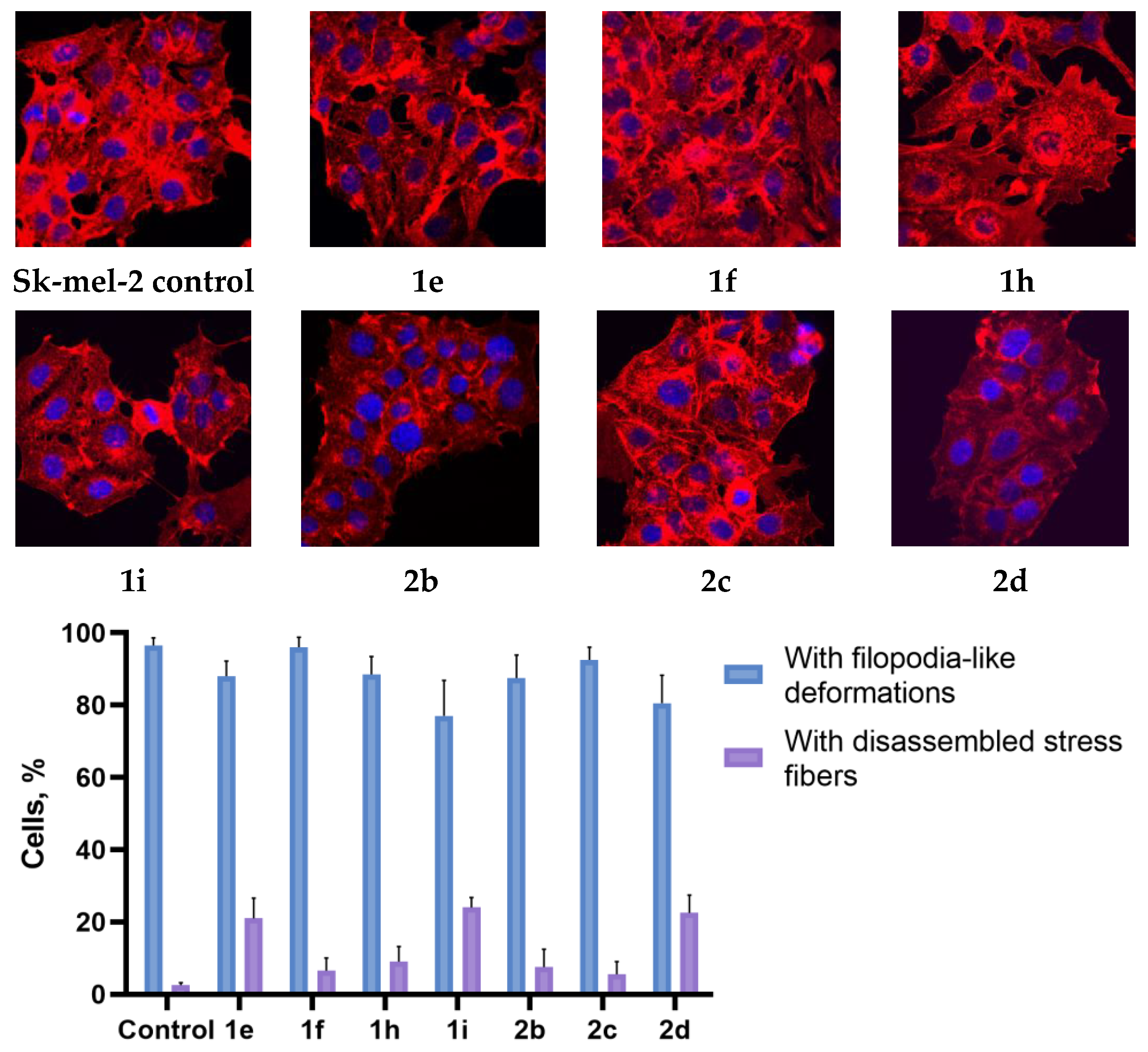Ijms 26 03474 g010 Ijms 26 03474 g010