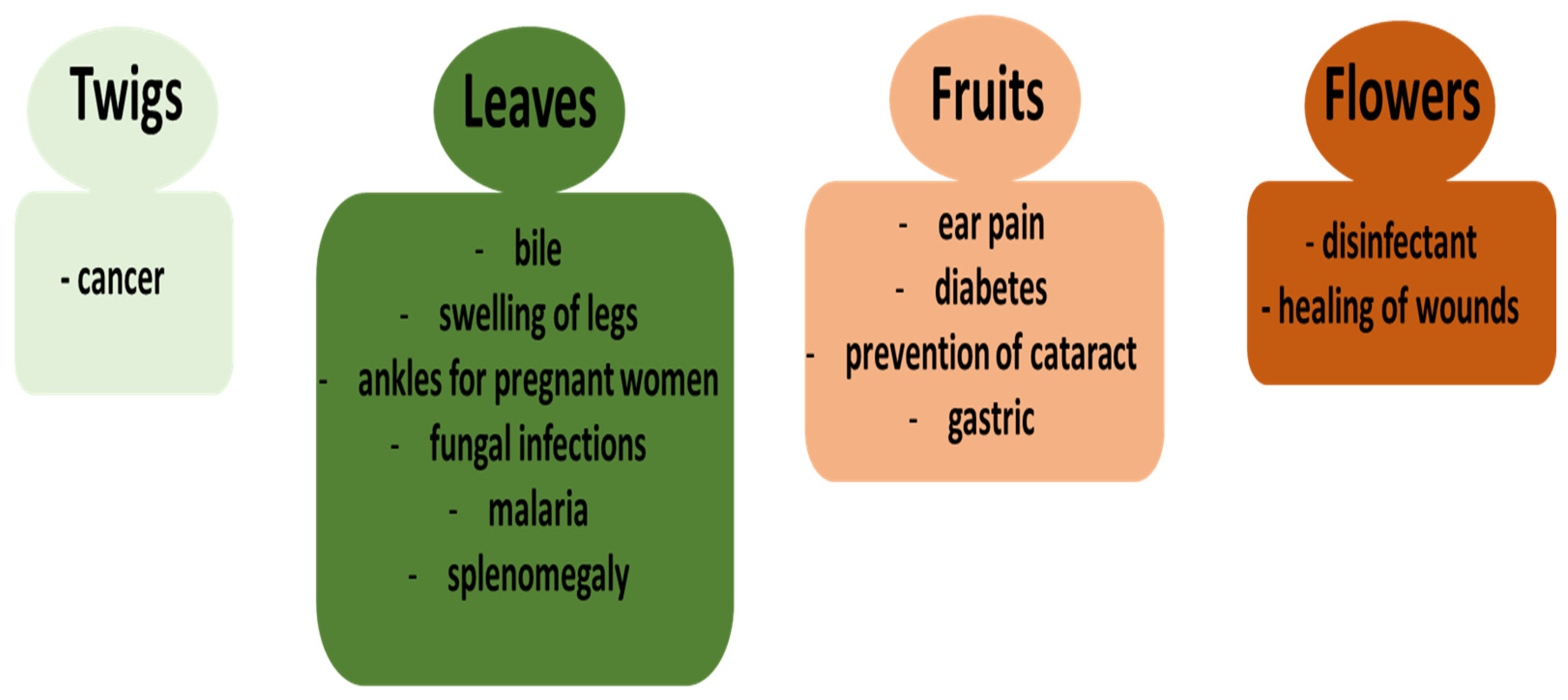 Ijms 26 03493 g002 Ijms 26 03493 g002