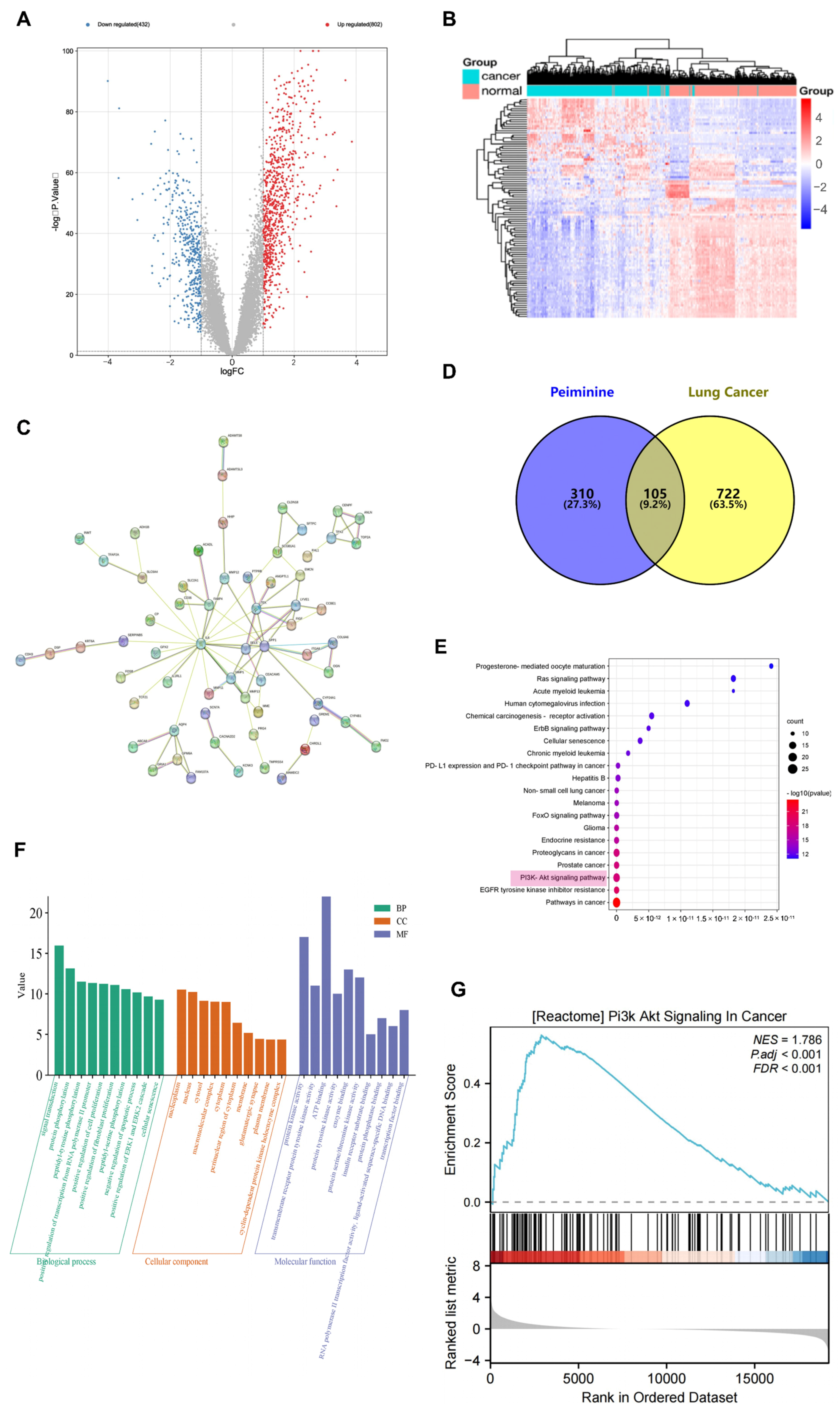 Ijms 26 03506 g002 Ijms 26 03506 g002