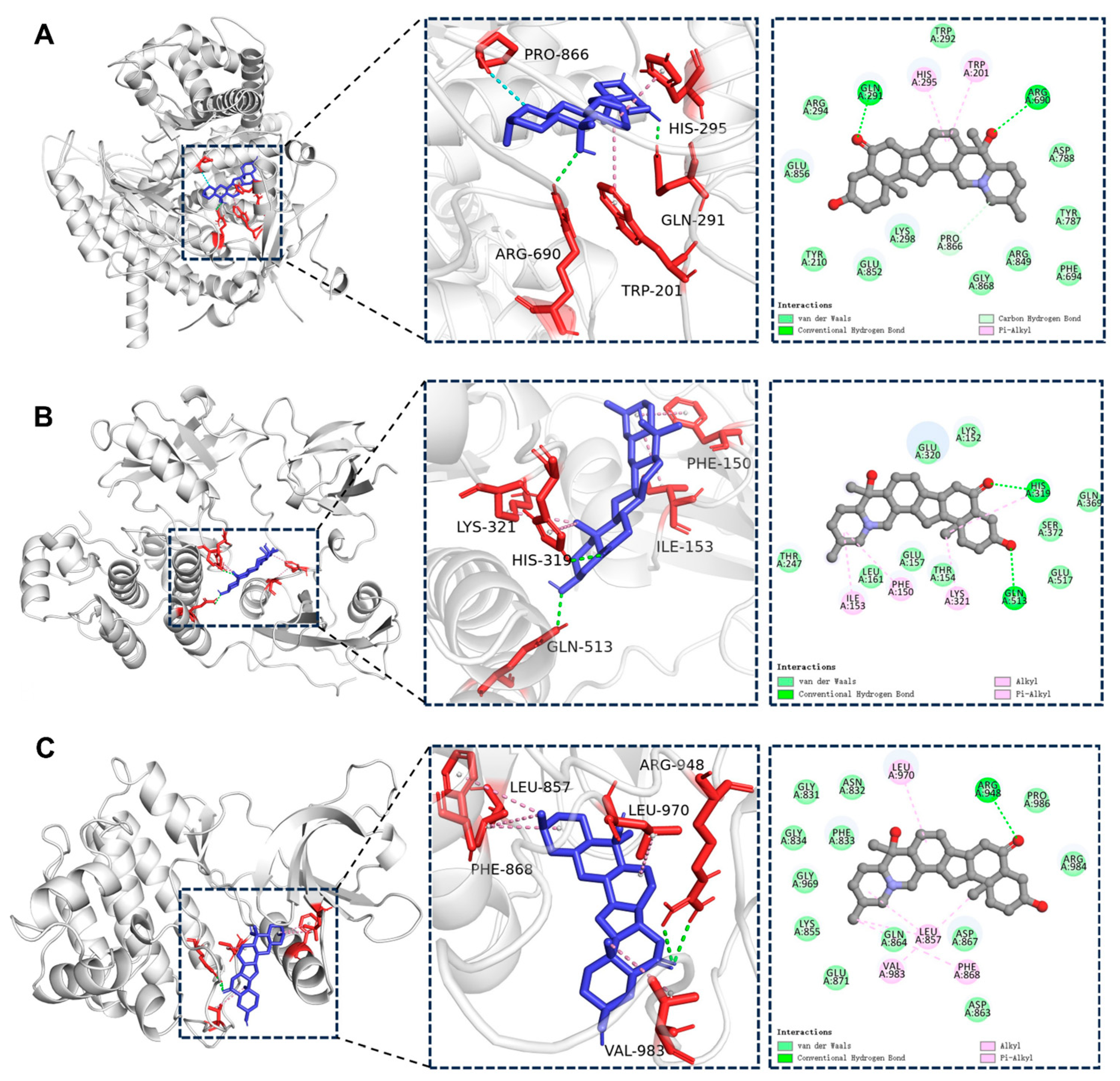 Ijms 26 03506 g004 Ijms 26 03506 g004