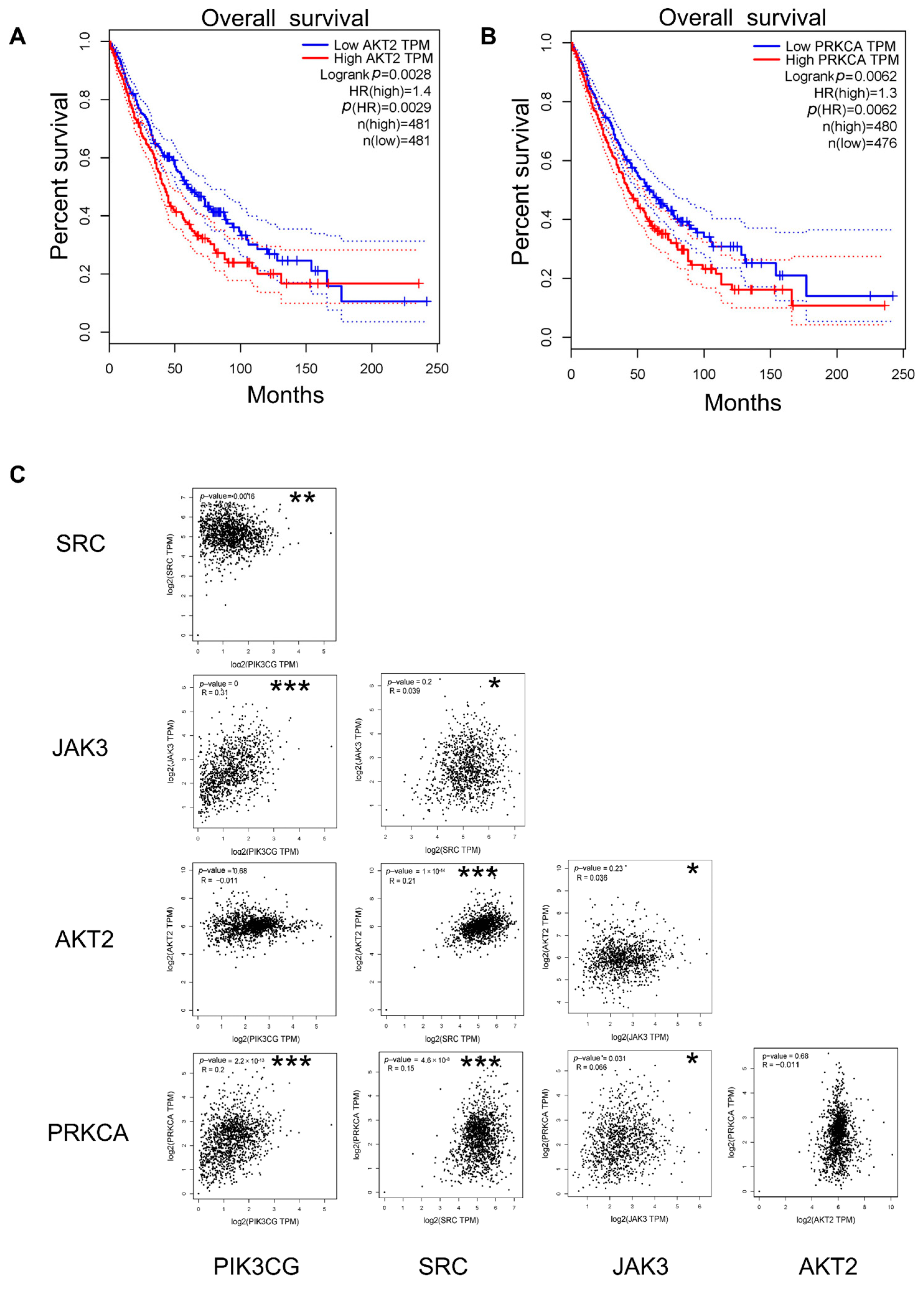 Ijms 26 03506 g007 Ijms 26 03506 g007