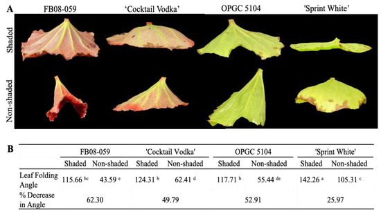Investigating Morphological and Physiological Responses to