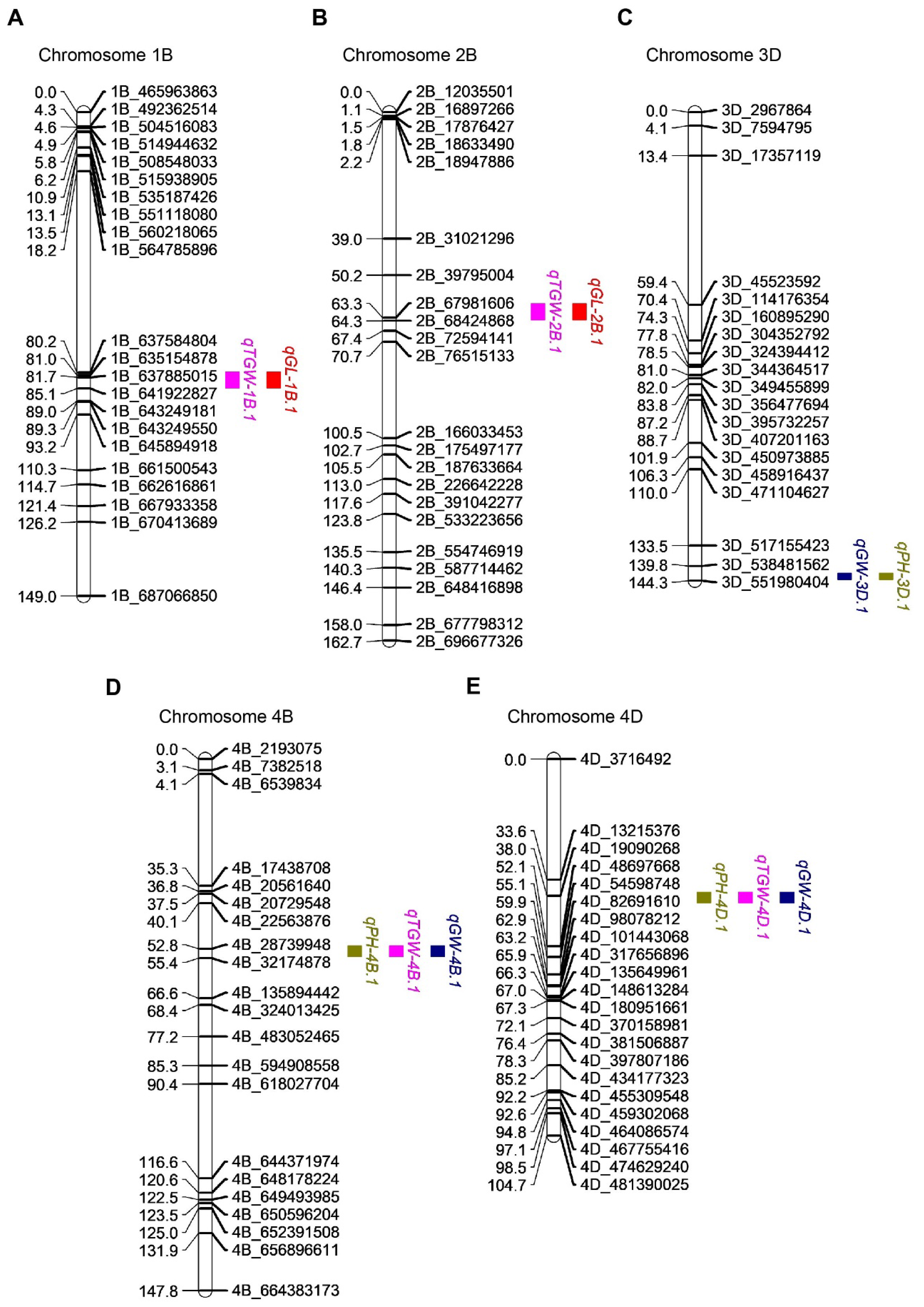 Ijms 26 03526 g003 Ijms 26 03526 g003