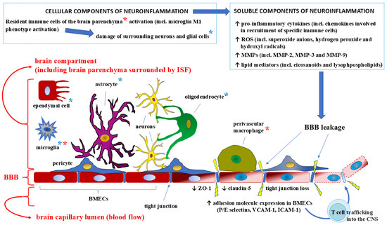Breaking the Barrier: The Role of Proinflammatory Cytokines Breaking the Barrier: The Role of Proinflammatory Cytokines