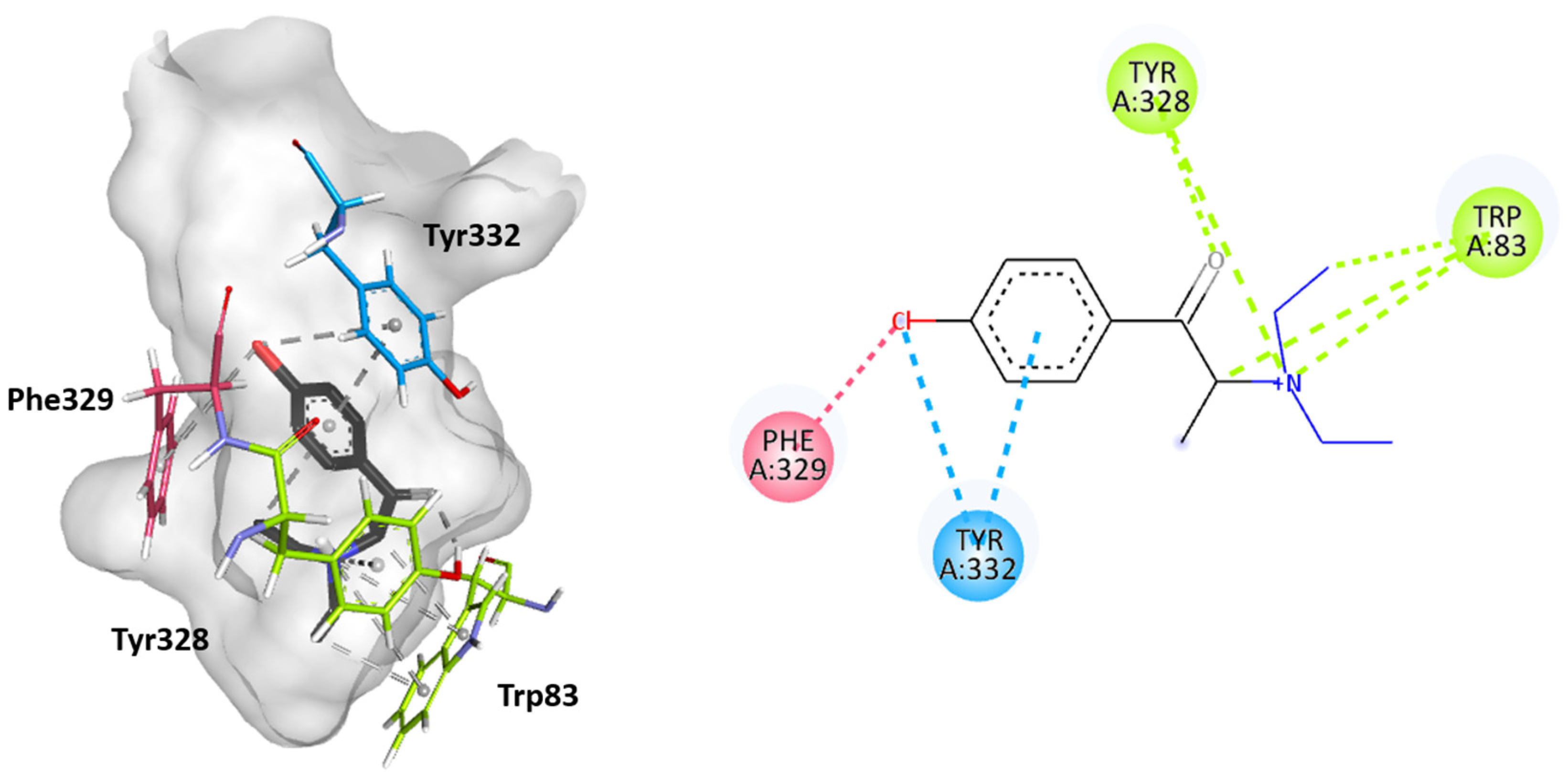 Ijms 26 03540 g006 Ijms 26 03540 g006