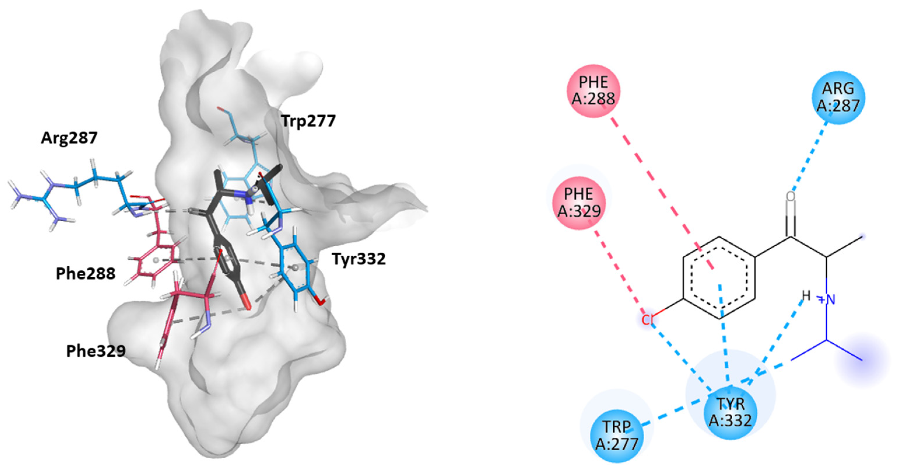 Ijms 26 03540 g008 Ijms 26 03540 g008