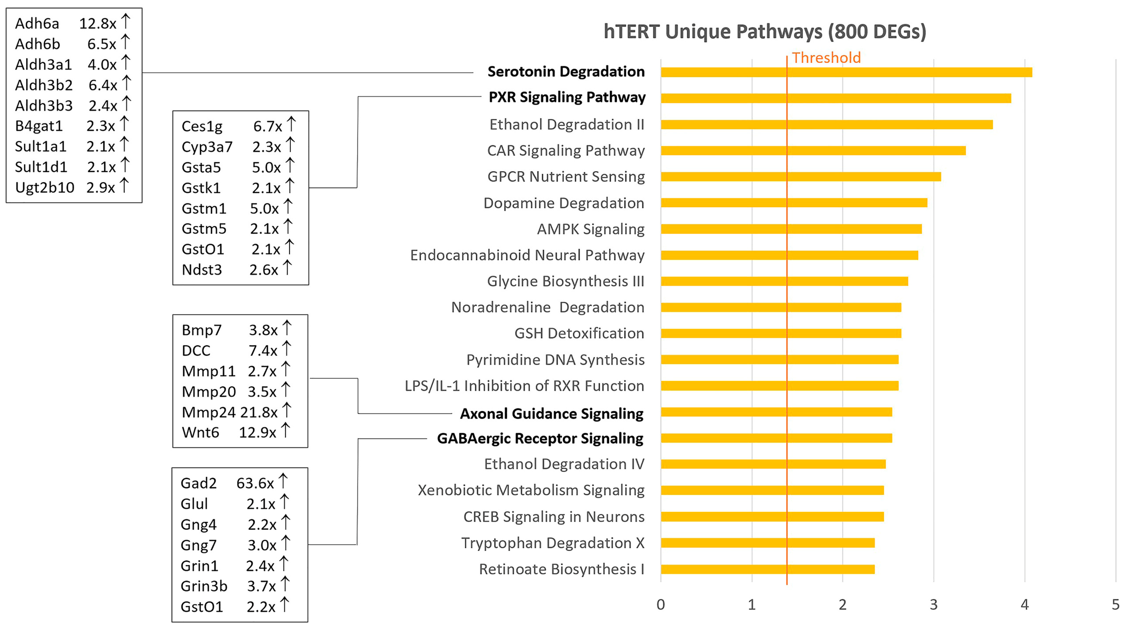 Ijms 26 03607 g002 Ijms 26 03607 g002
