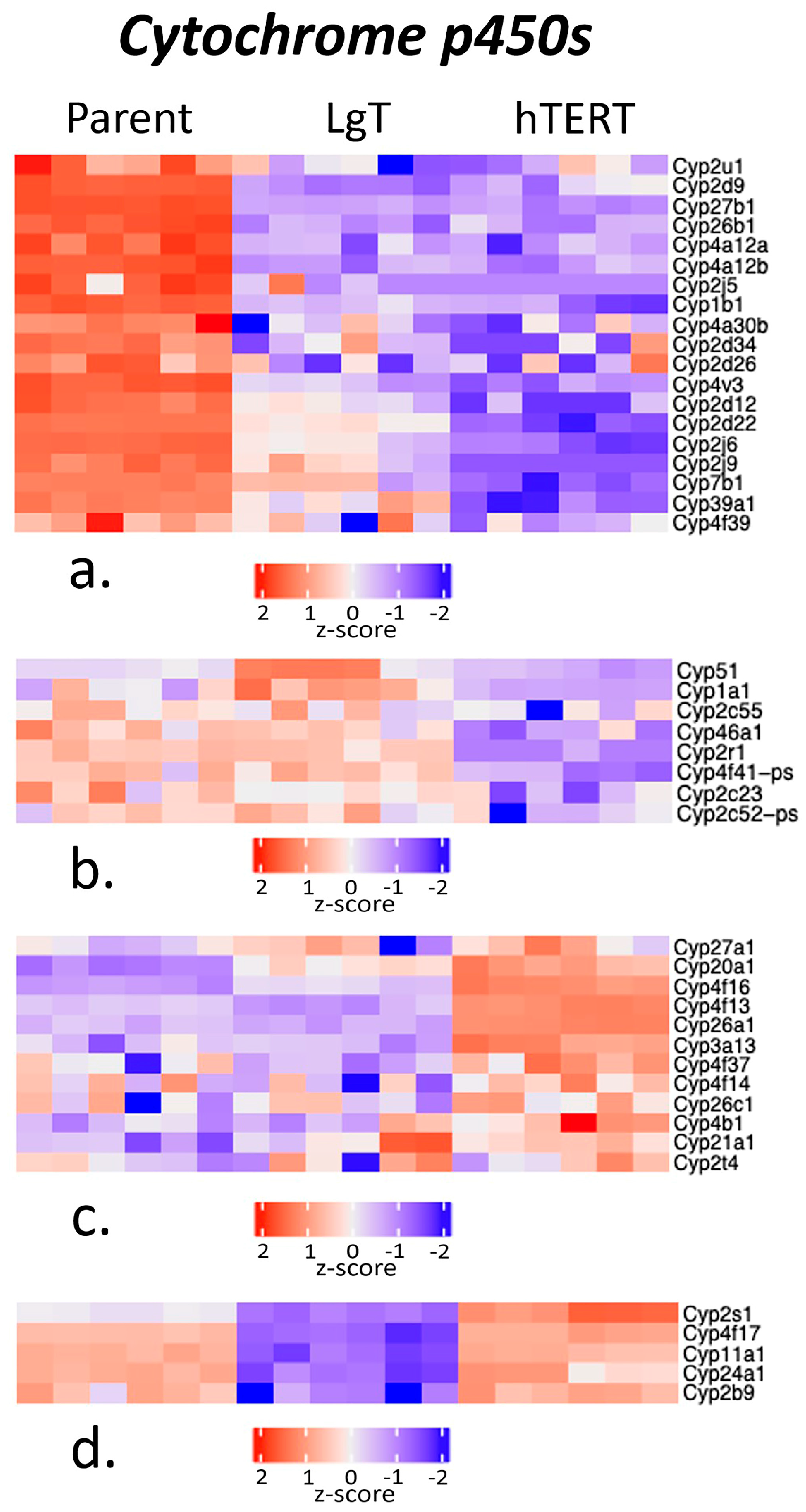 Ijms 26 03607 g004 Ijms 26 03607 g004