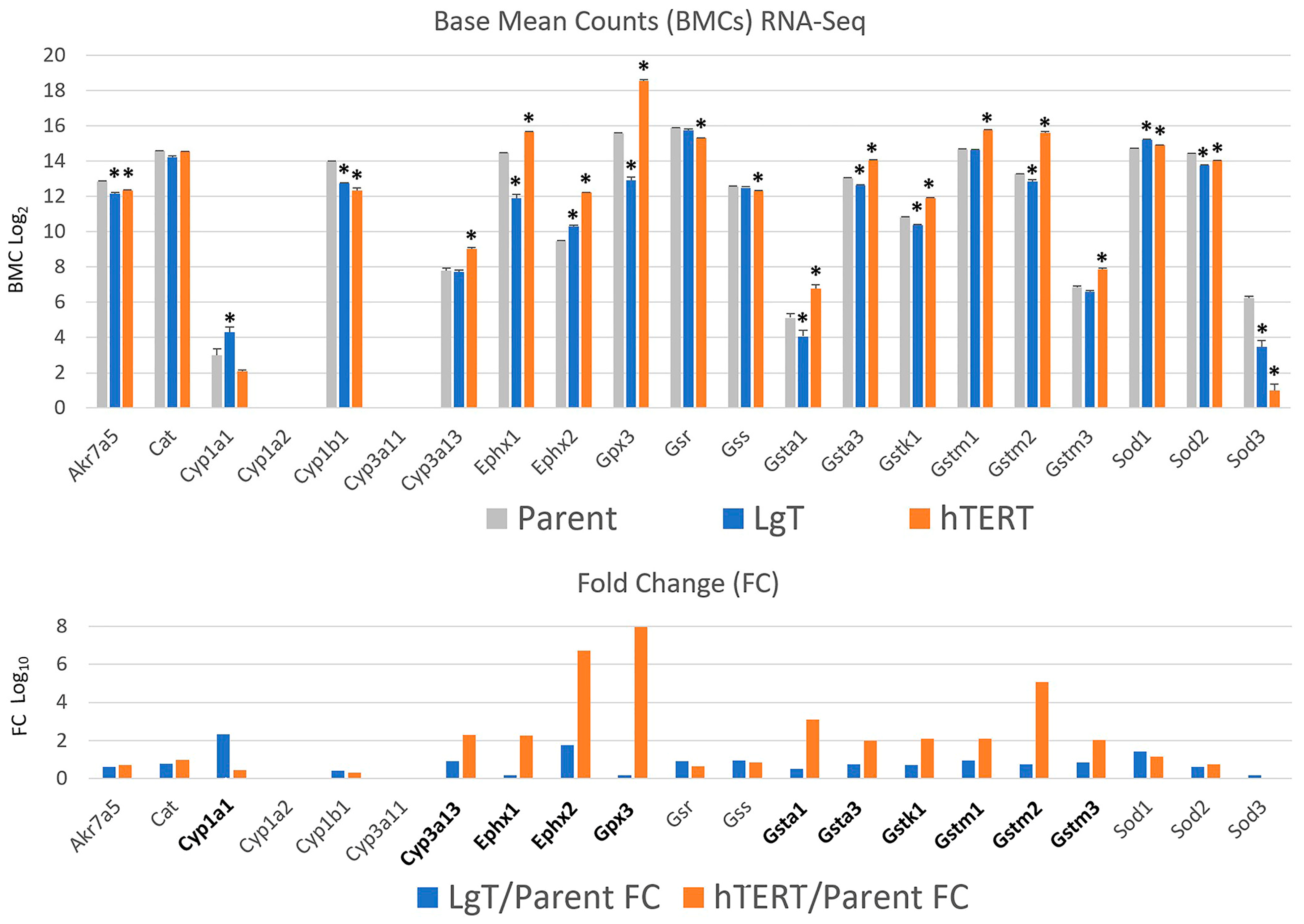 Ijms 26 03607 g005 Ijms 26 03607 g005
