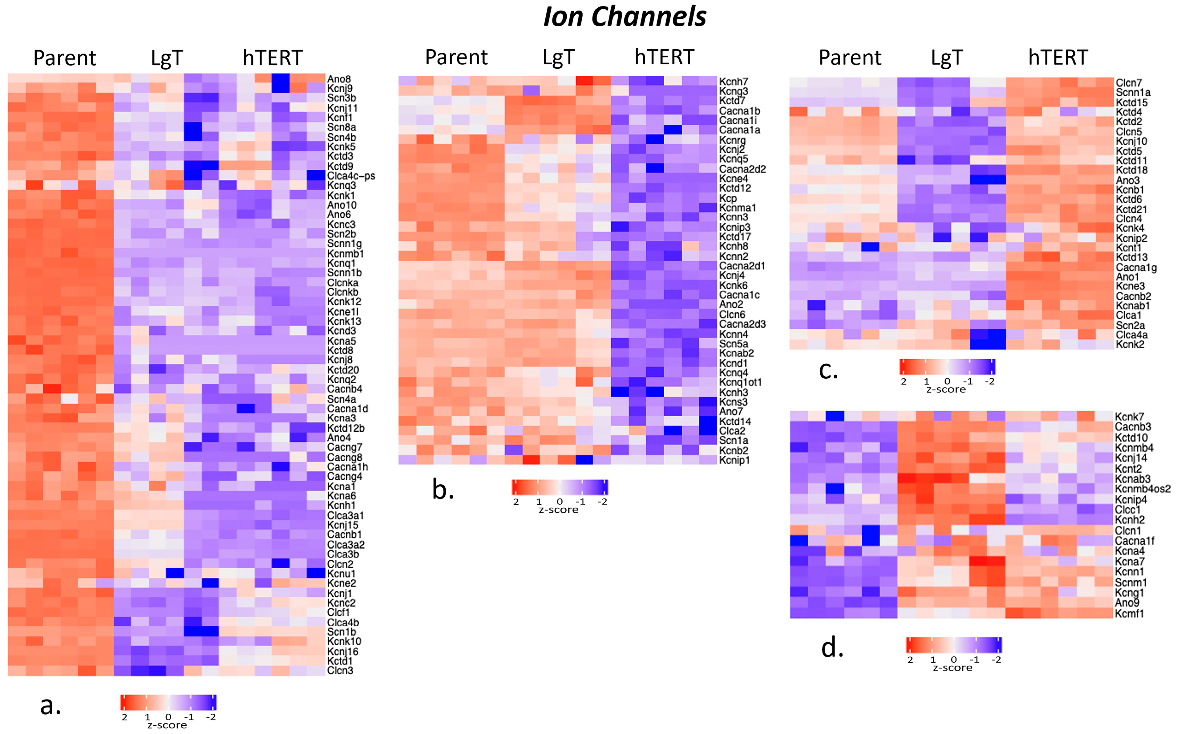 Ijms 26 03607 g006 Ijms 26 03607 g006