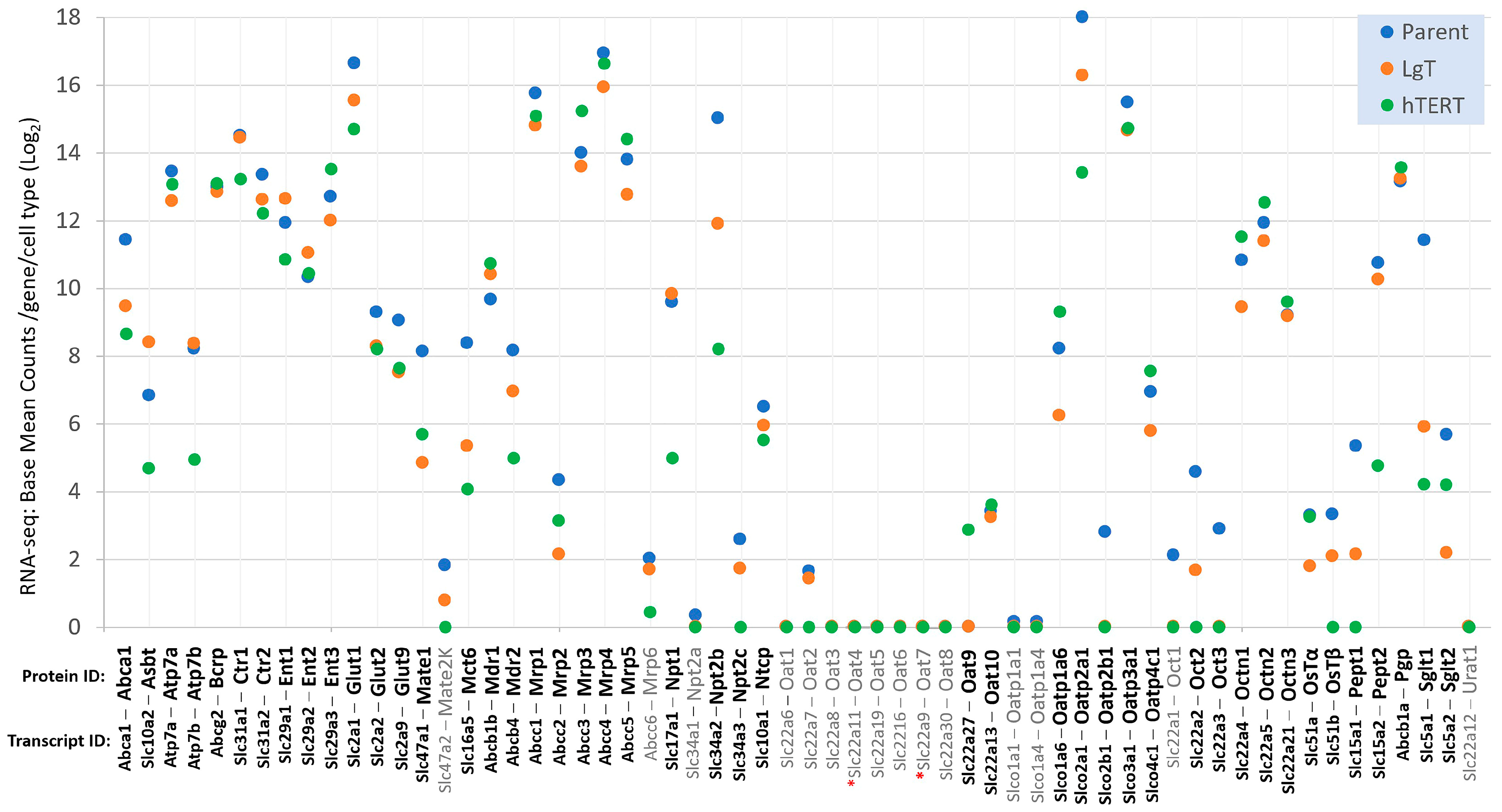 Ijms 26 03607 g008 Ijms 26 03607 g008
