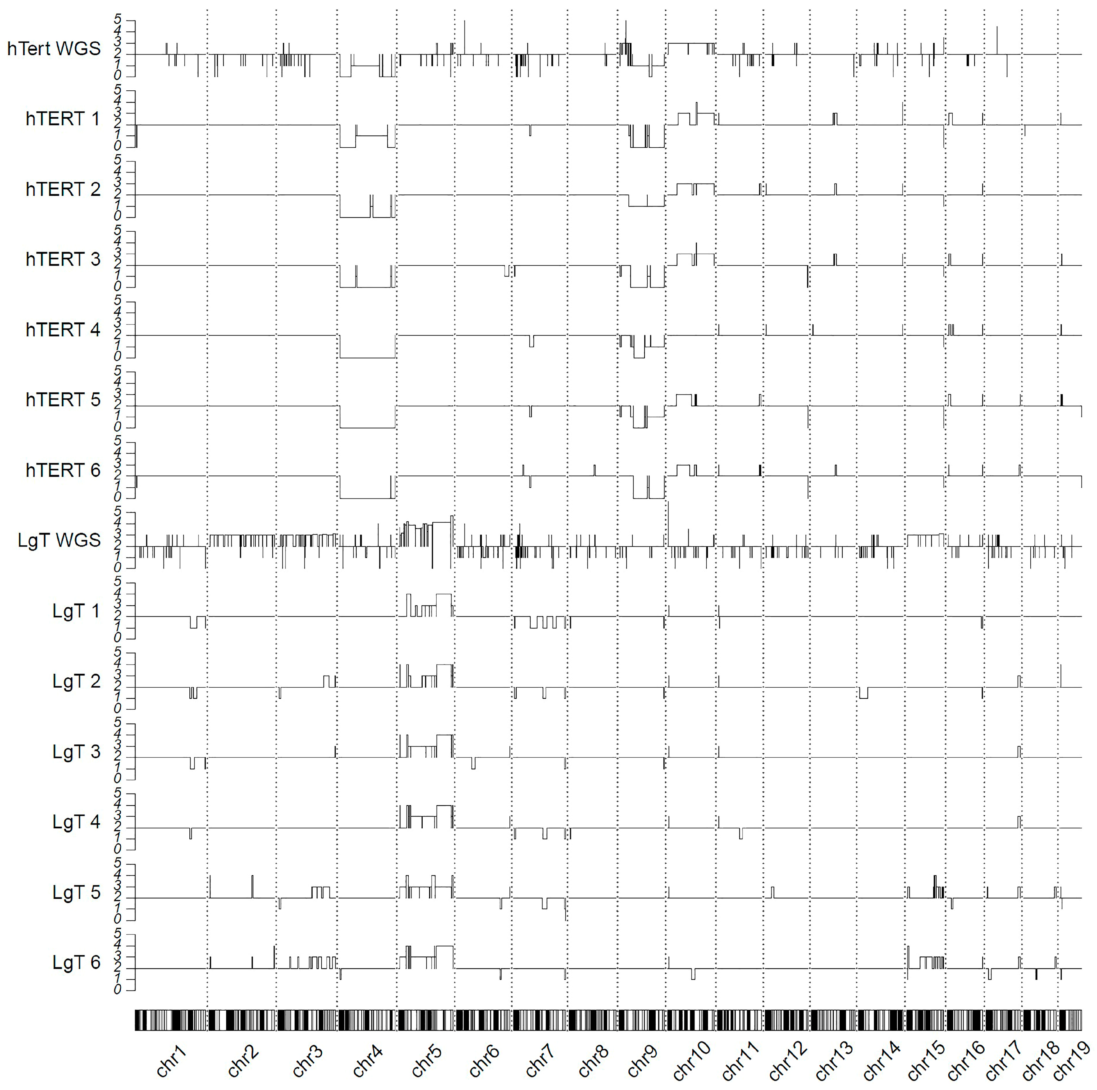 Ijms 26 03607 g011 Ijms 26 03607 g011