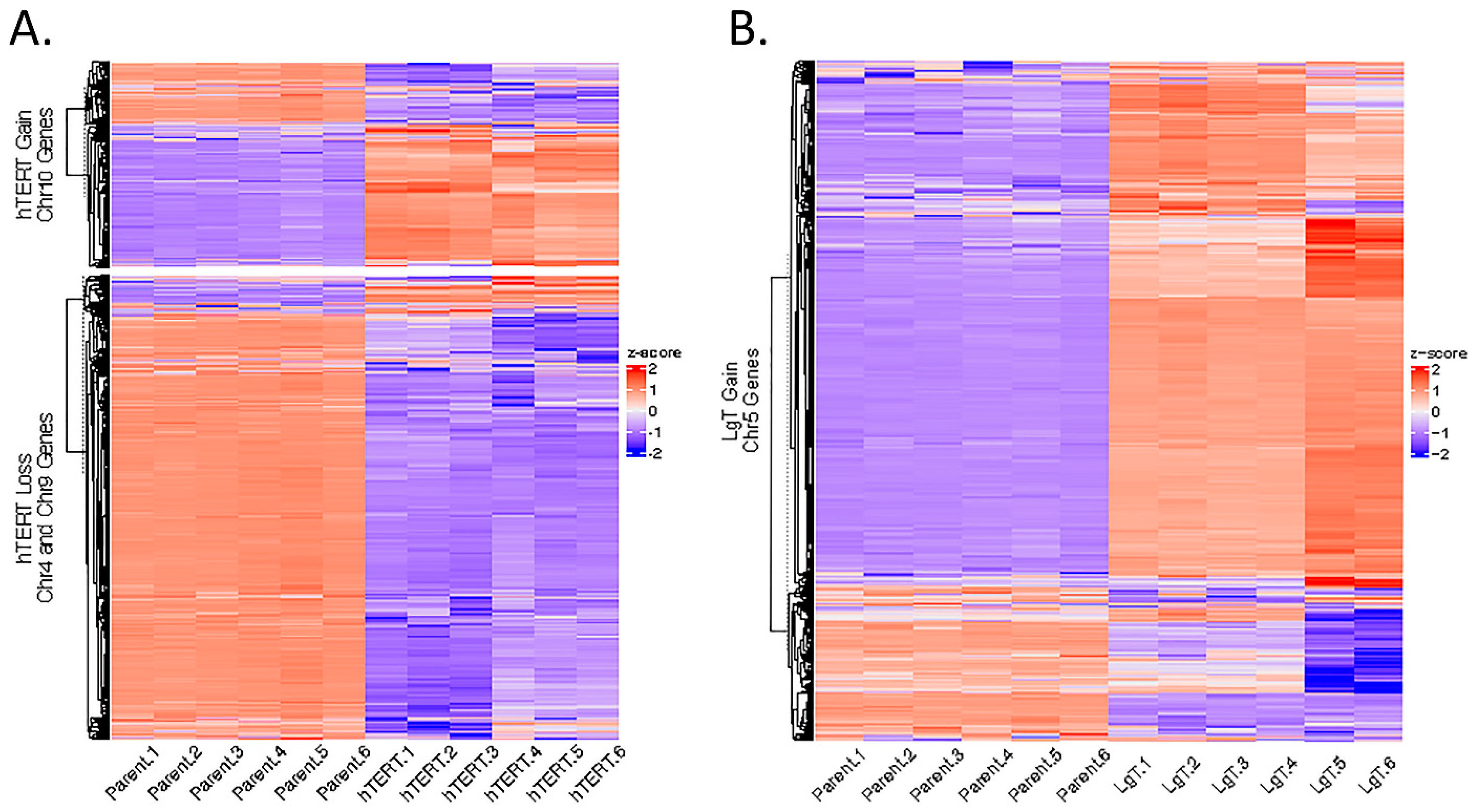 Ijms 26 03607 g012 Ijms 26 03607 g012