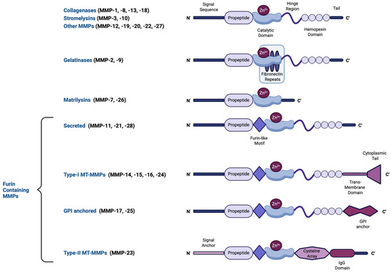 mEi Moving beyond the Tip of the Iceberg: DJ-1 Implications in