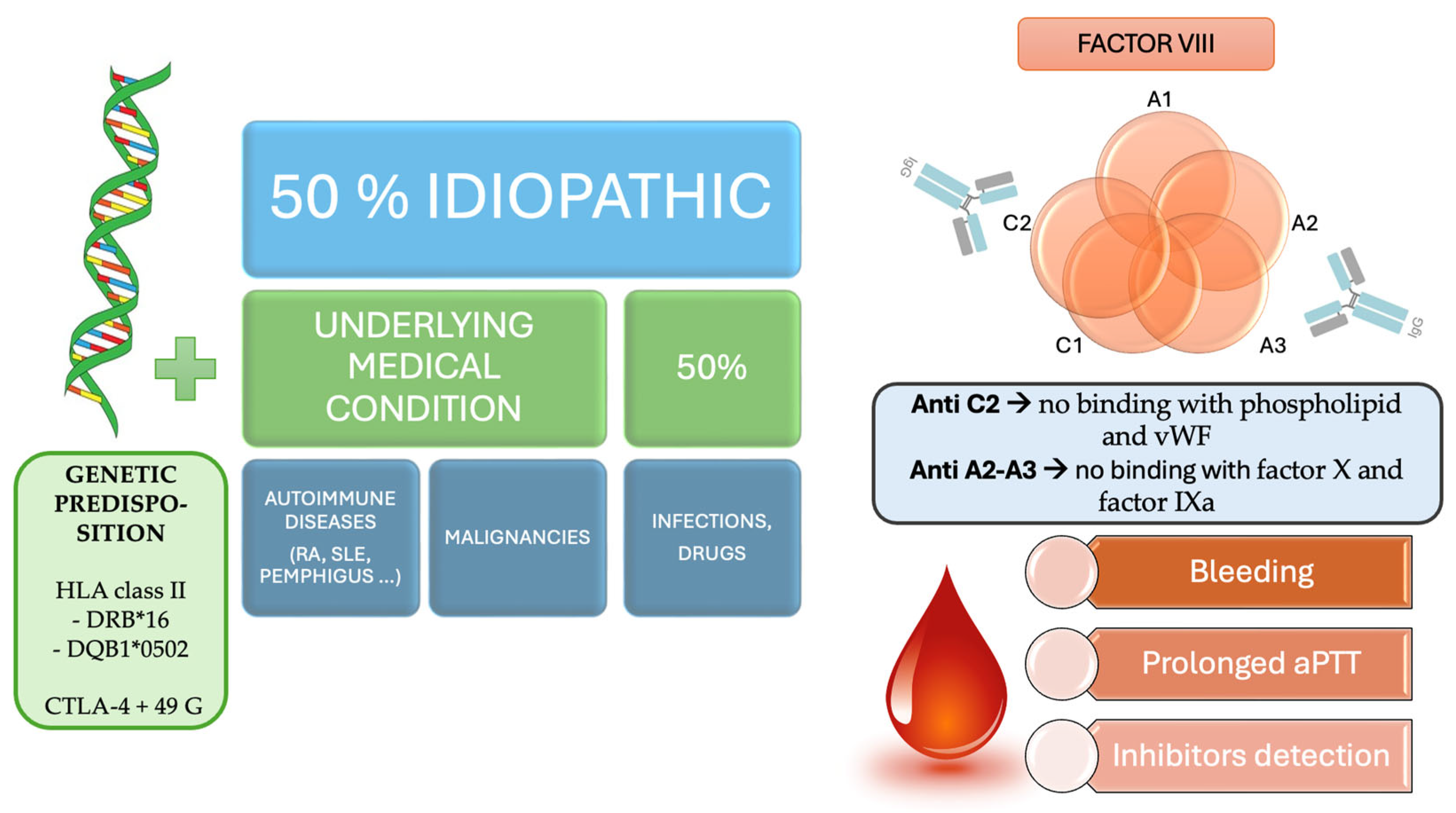 Ijms 26 03628 g004 Ijms 26 03628 g004