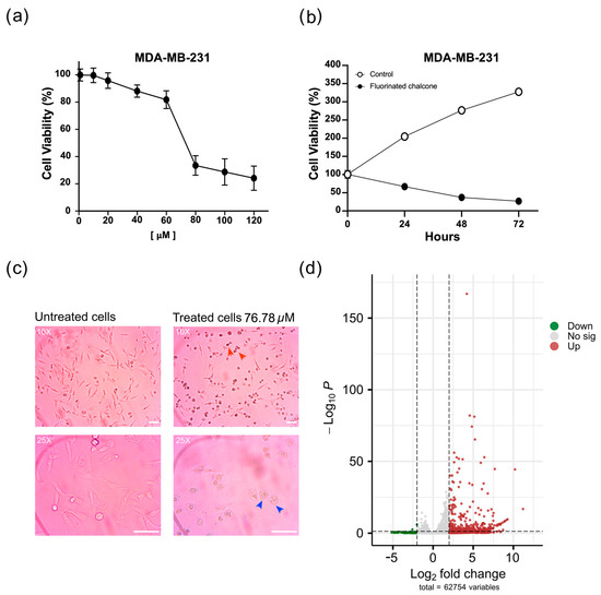Identifying Genes Associated with the Anticancer Activity of