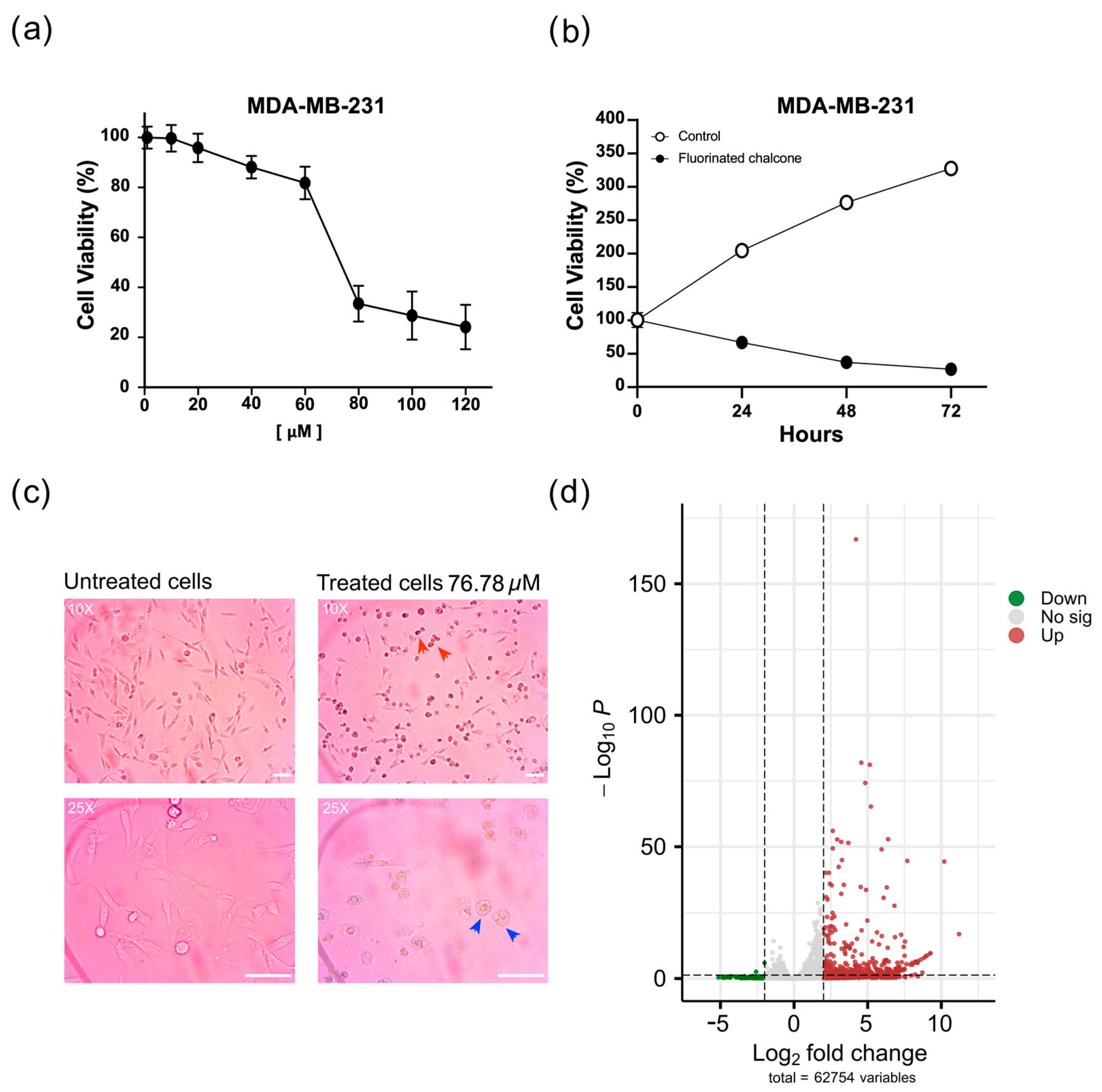 Ijms 26 03662 g001 Ijms 26 03662 g001