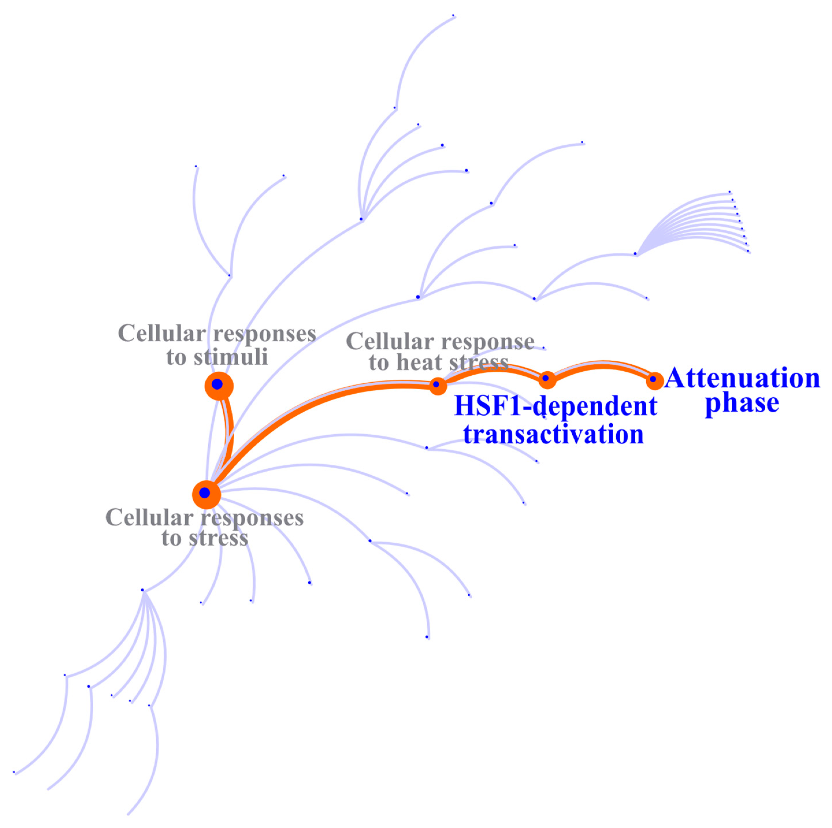 Ijms 26 03662 g004 Ijms 26 03662 g004