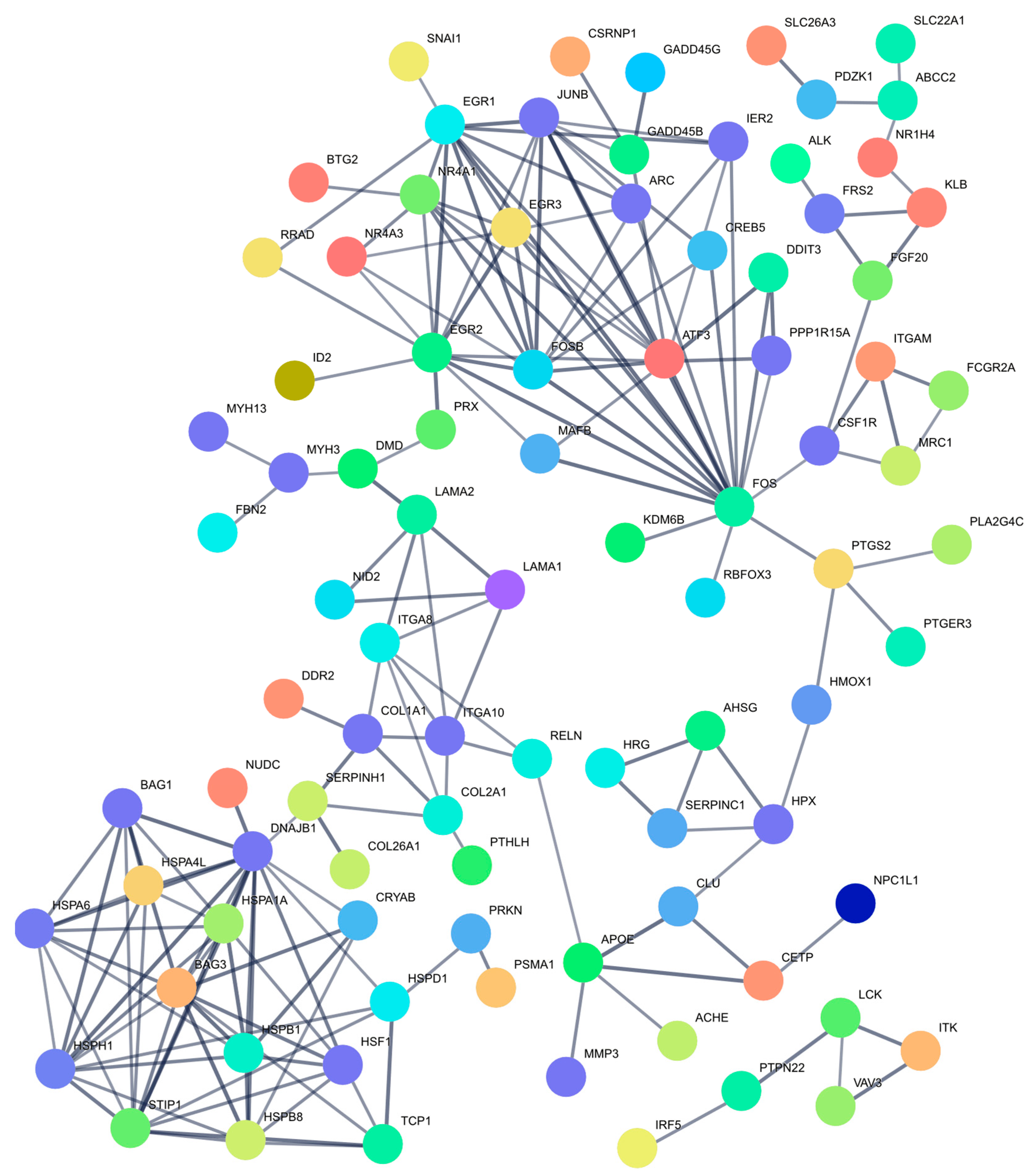 Ijms 26 03662 g005 Ijms 26 03662 g005