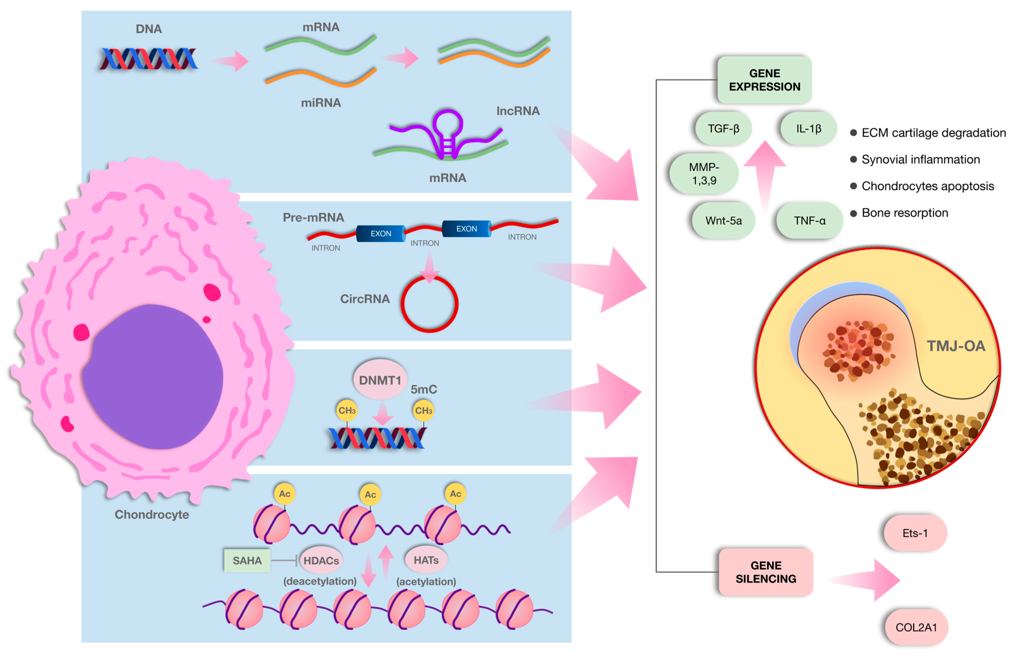 Ijms 26 03668 g002 Ijms 26 03668 g002