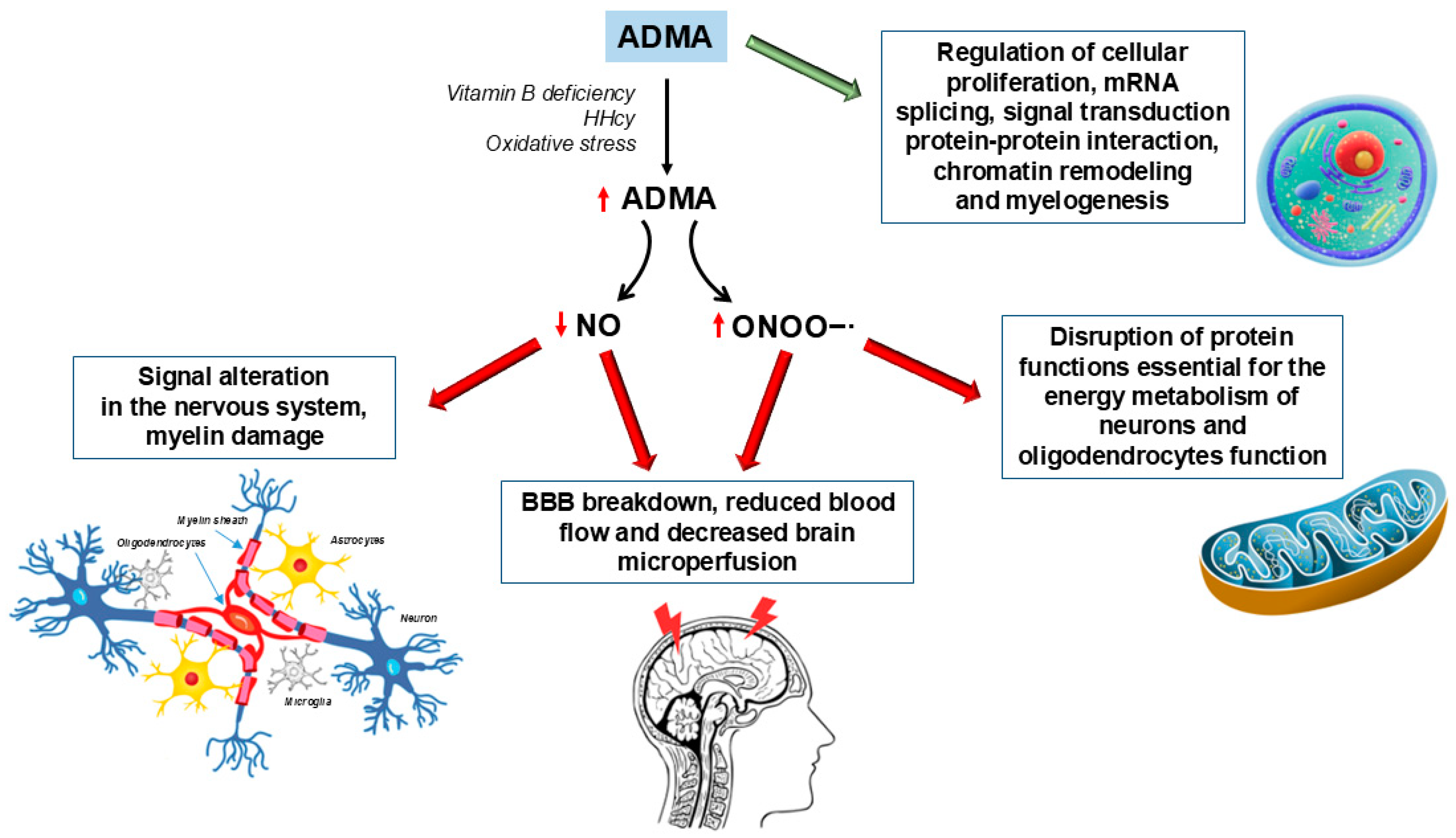 Ijms 26 03672 g002 Ijms 26 03672 g002