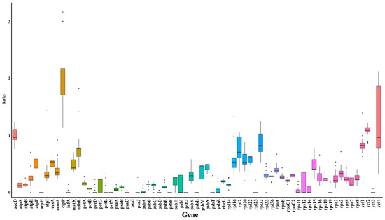 Comparative Analysis of the Chloroplast Genomes of Cypripedium