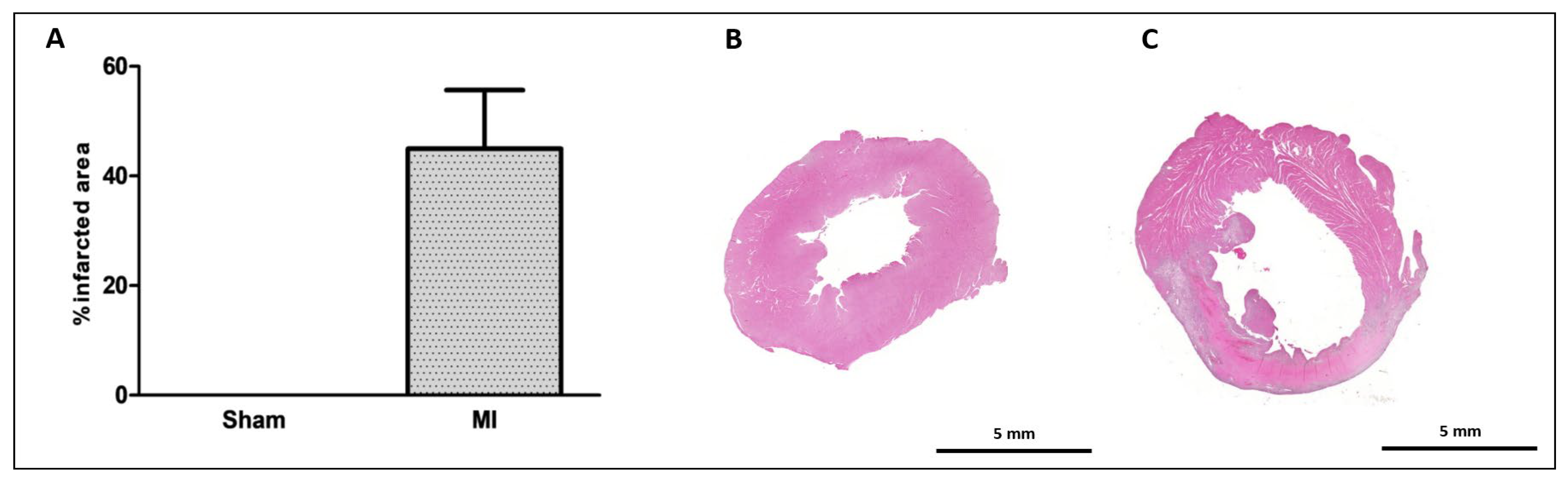 Ijms 26 03697 g001 Ijms 26 03697 g001