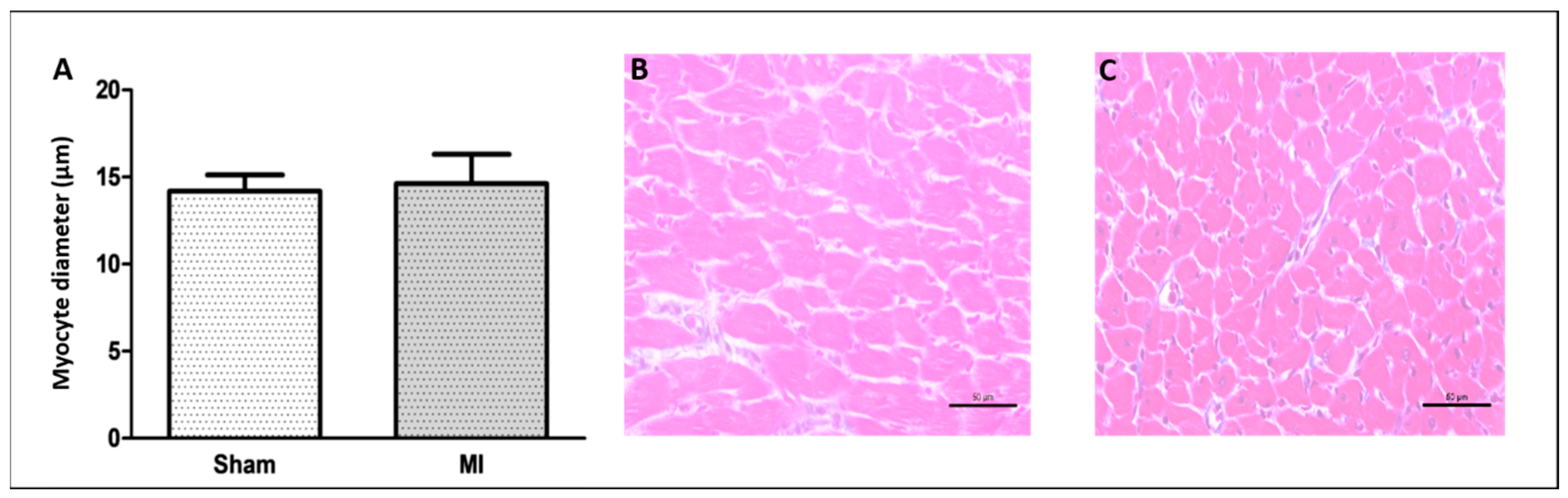 Ijms 26 03697 g002 Ijms 26 03697 g002
