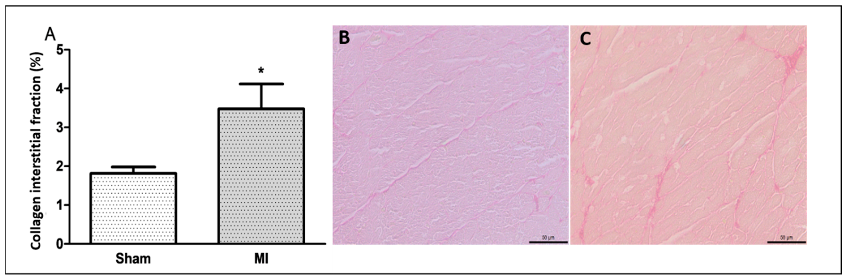 Ijms 26 03697 g003 Ijms 26 03697 g003