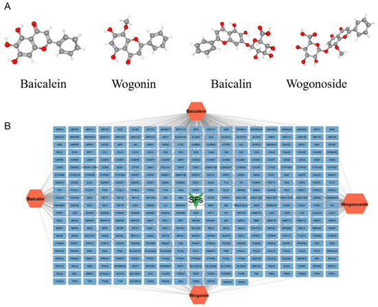 Flavonoids from Scutellaria baicalensis: Promising