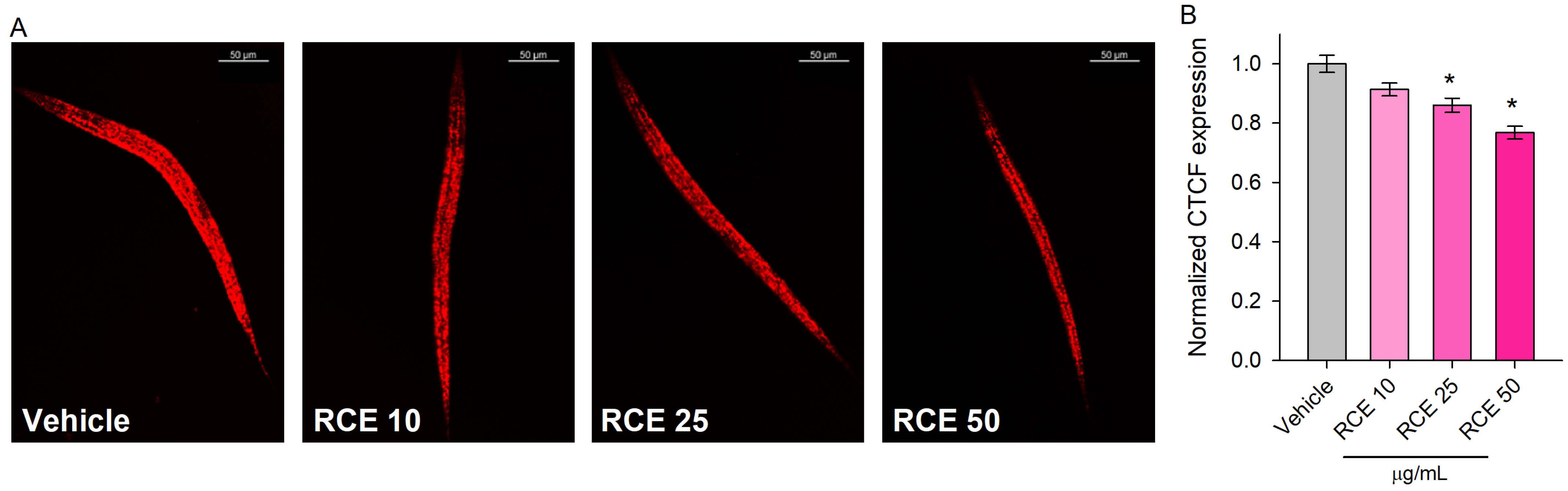 フィギュア Maral Root Extract and Its Main Constituent 20