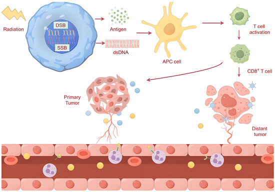 Targeting DNA Damage Repair to Enhance Antitumor Immunity in ...