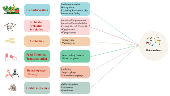 Gut Microbiota Metabolites and Chronic Diseases: Interactions ...