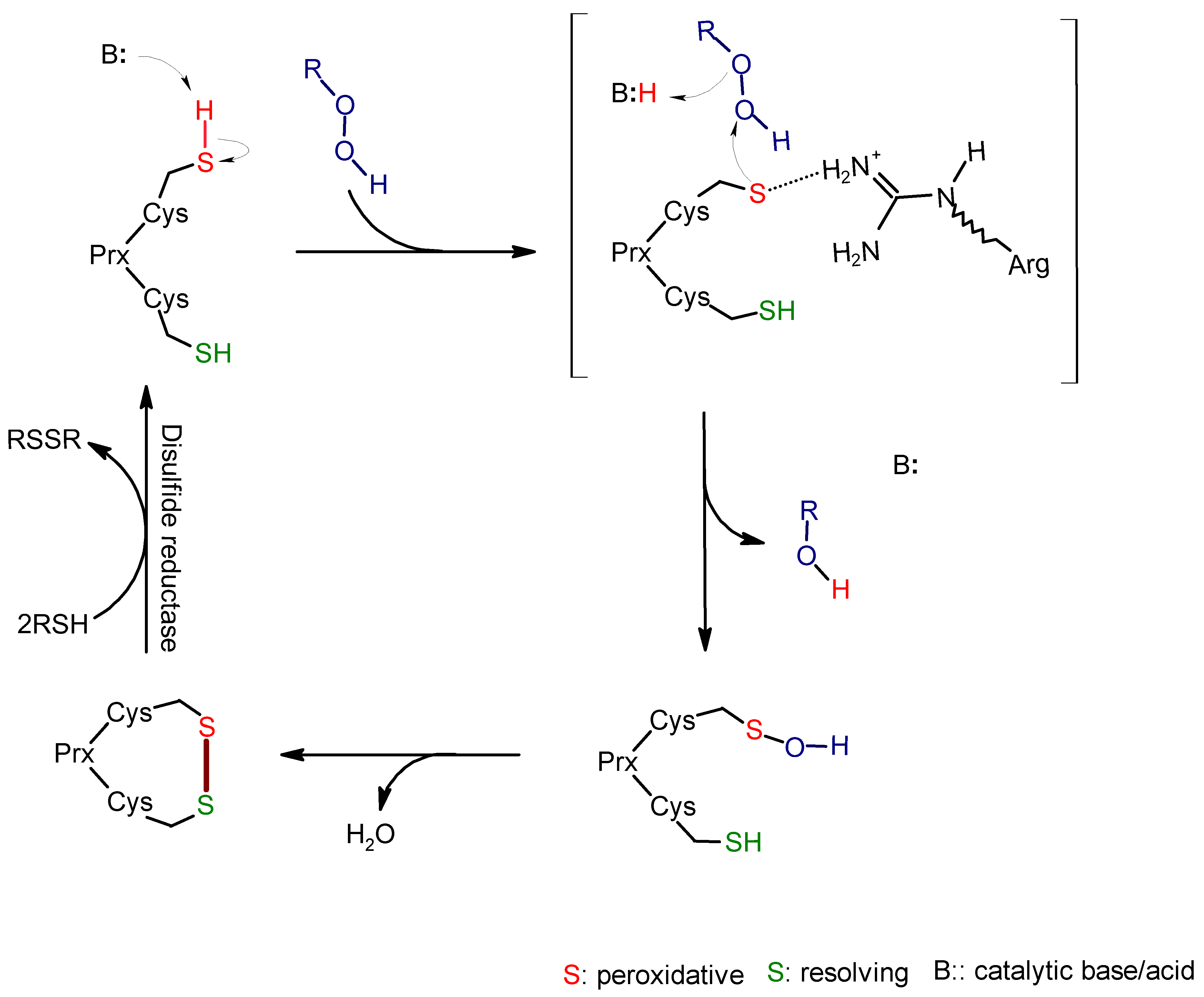 Ijms 26 03845 sch001