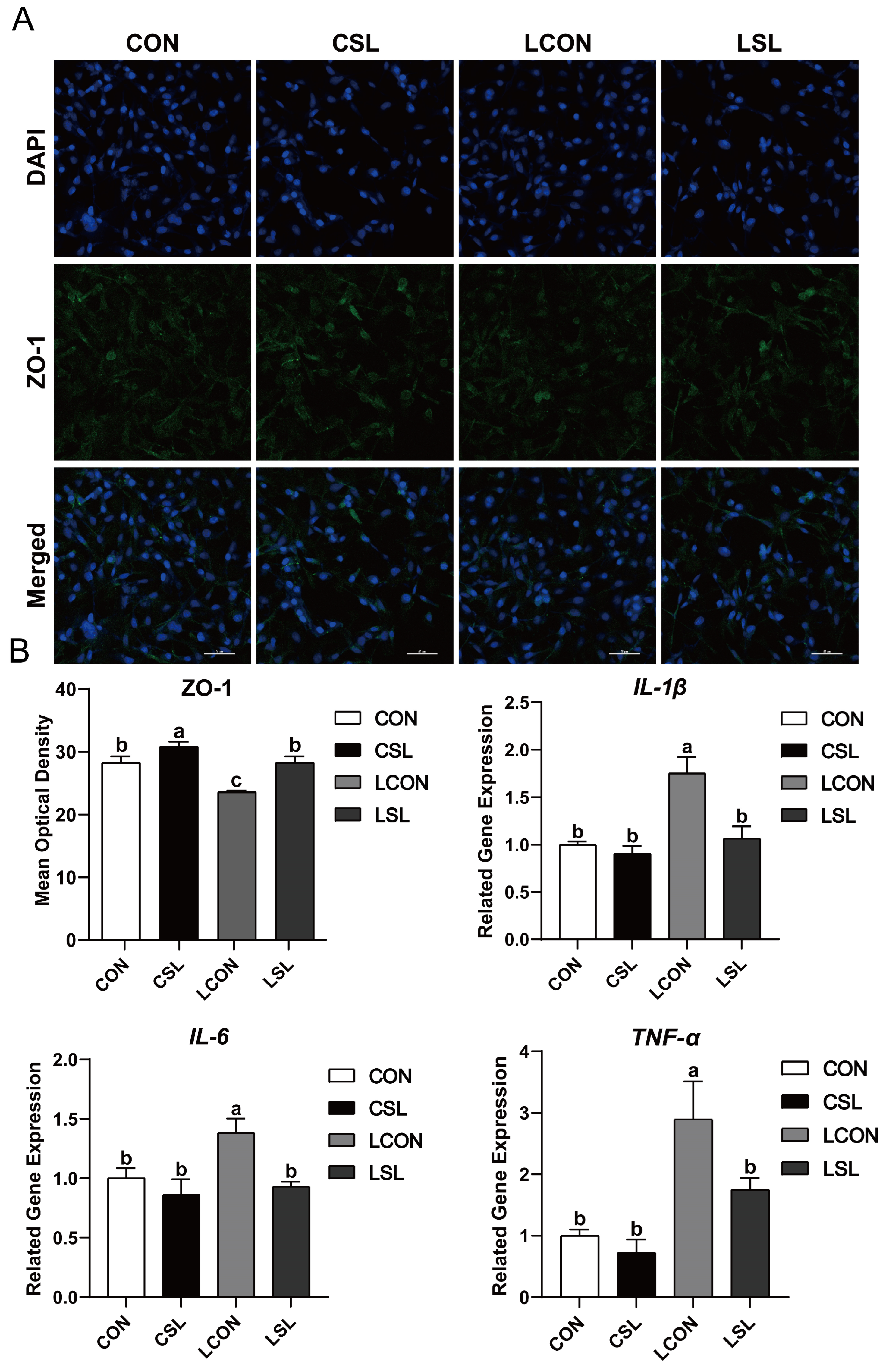 Ijms 26 03860 g003 Ijms 26 03860 g003