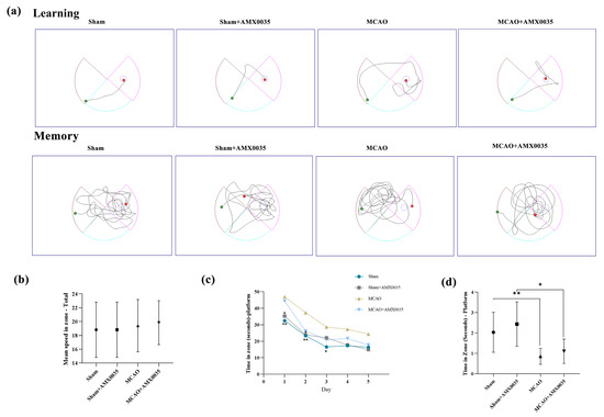 AMX0035 Mitigates Oligodendrocyte Apoptosis and Ameliorates
