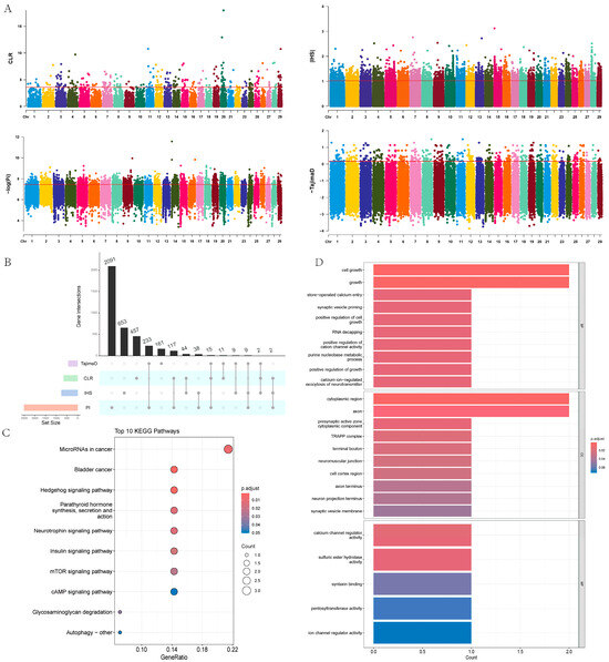 【May】 Whole-Genome Sequencing Unveils the Uniqueness of Yushu Yaks (Bos