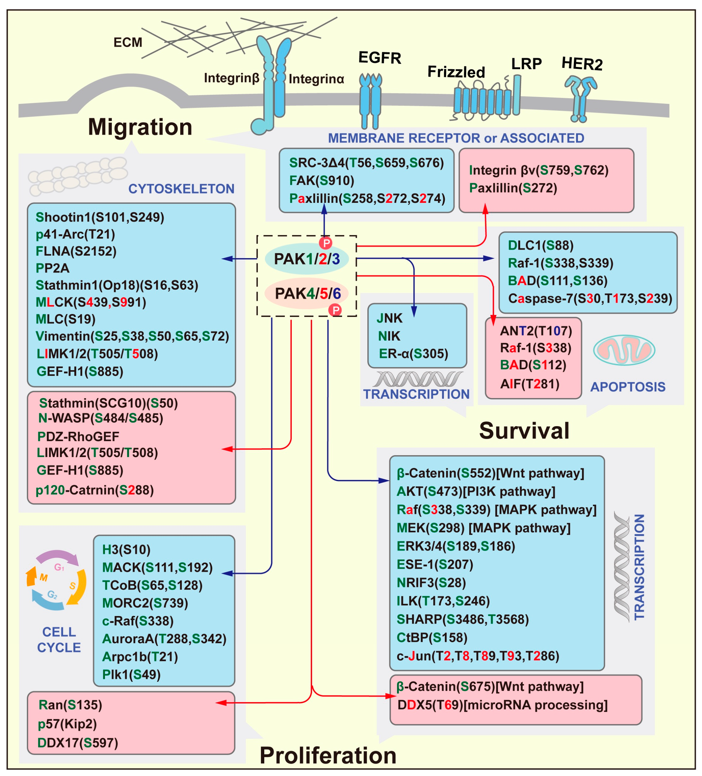 Ijms 26 03885 g001 Ijms 26 03885 g001